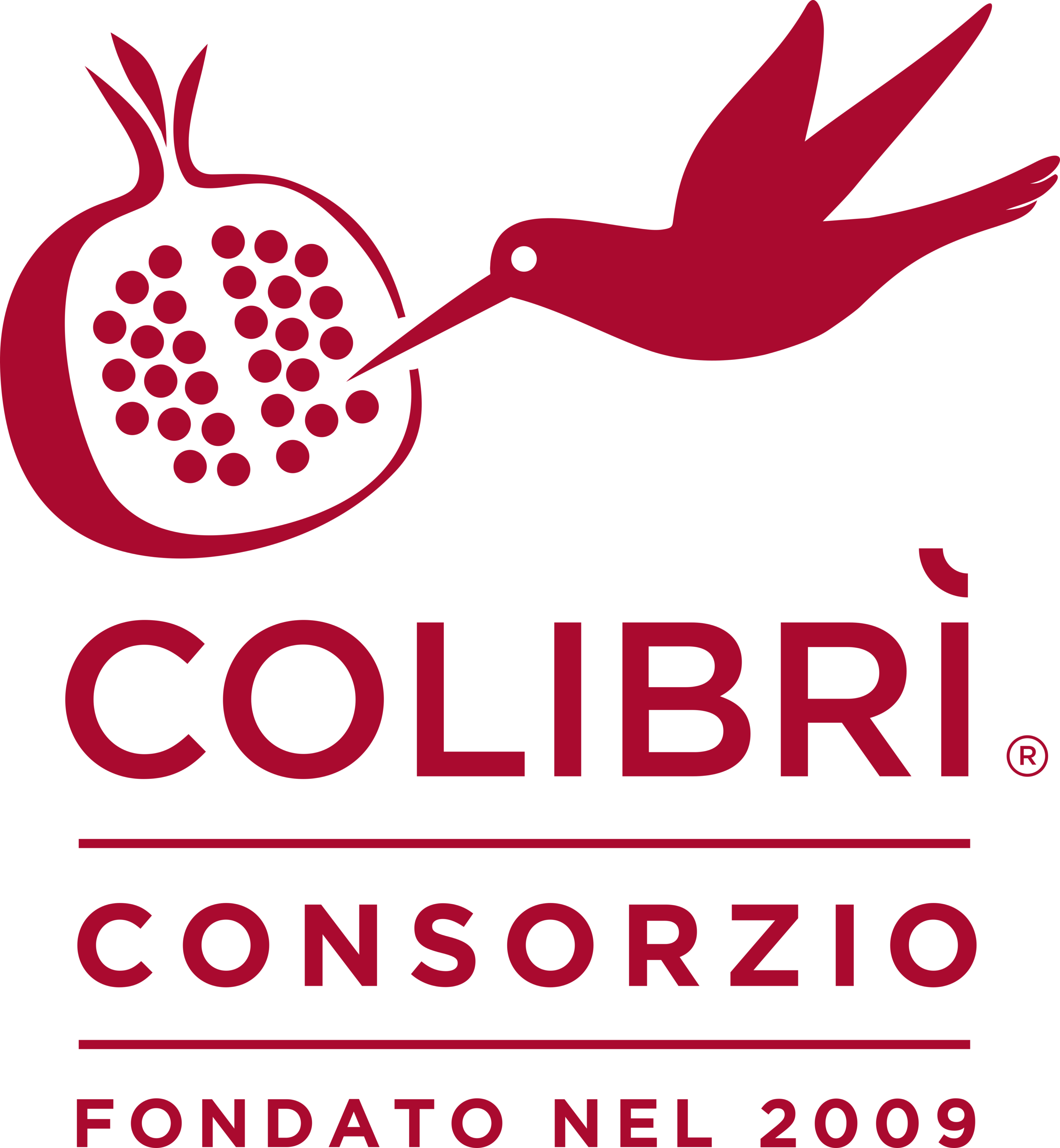Consorzio Colibri Logo