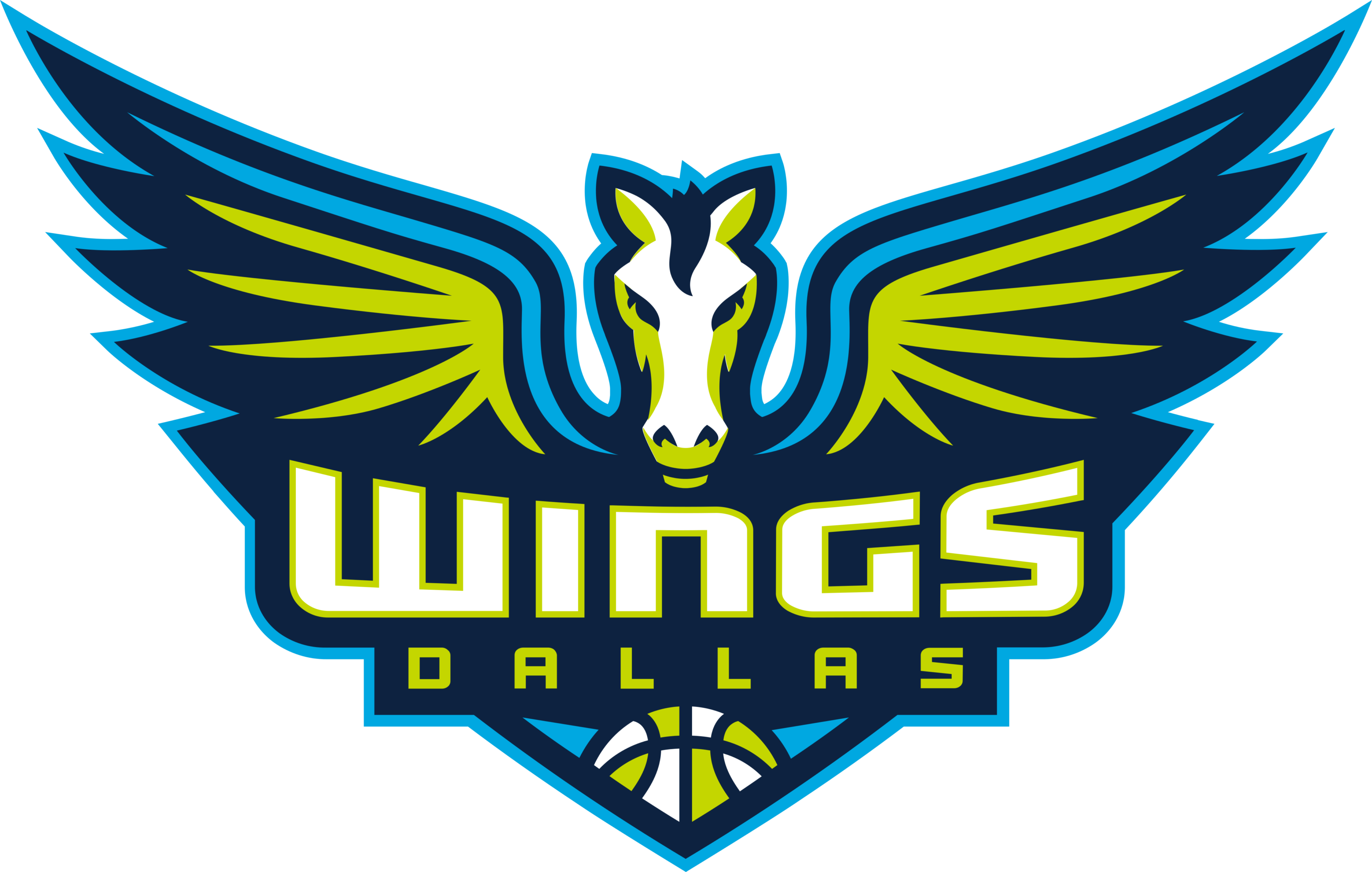 Dallas Wings Logo