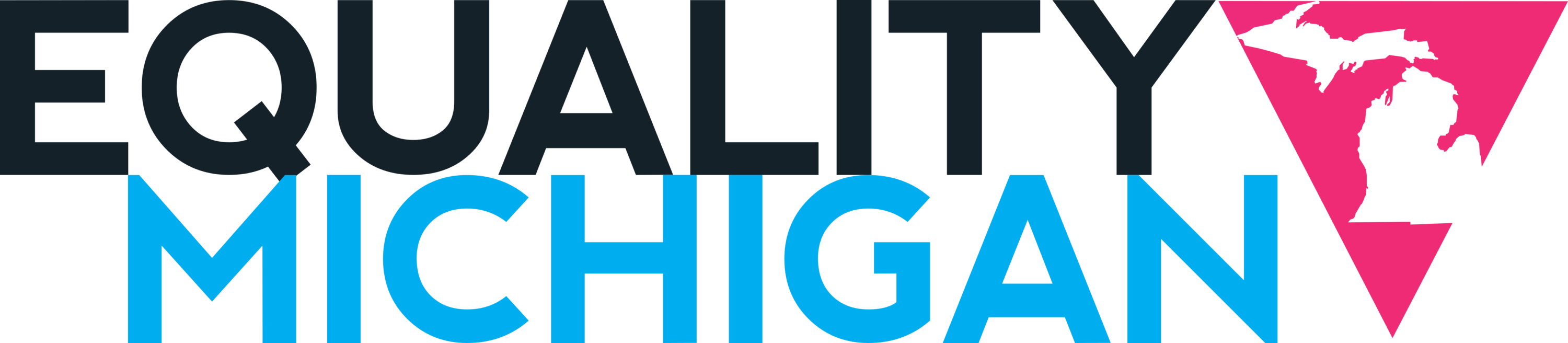 Equality Michigan Logo