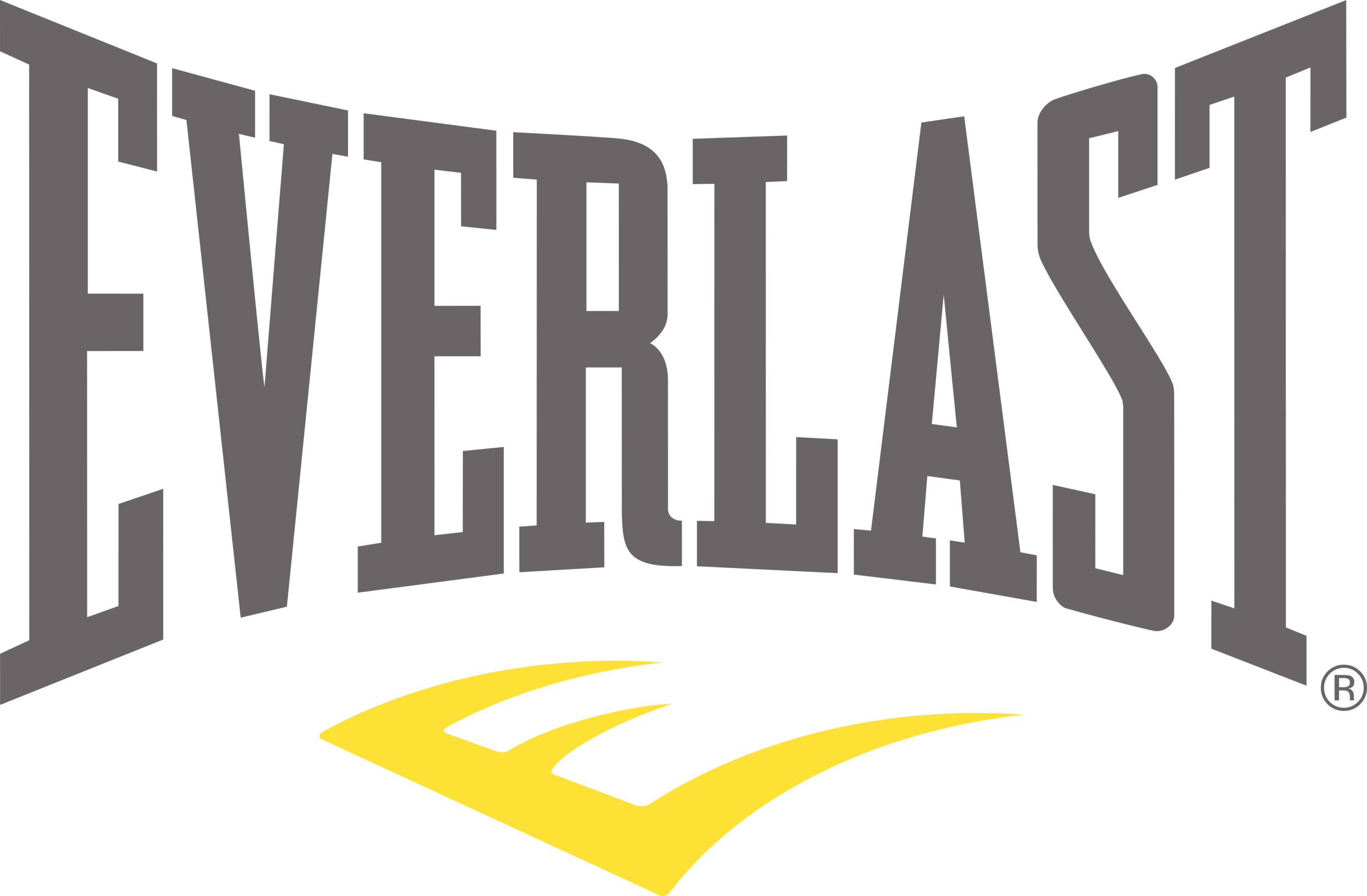 Everlast (brand) Logo