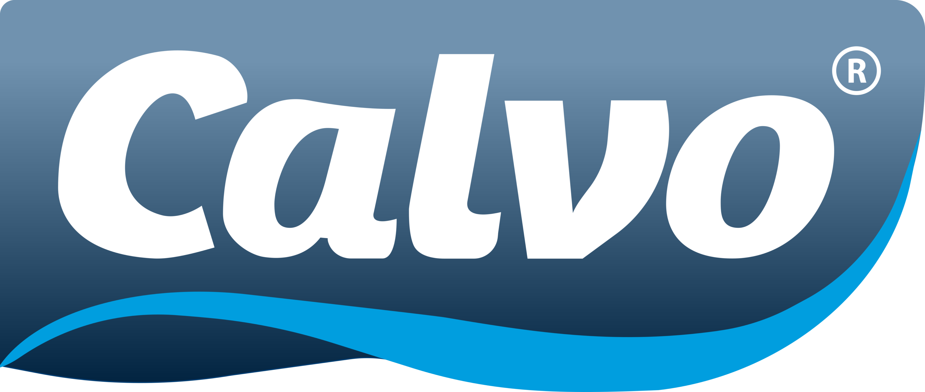 Grupo Calvo Logo