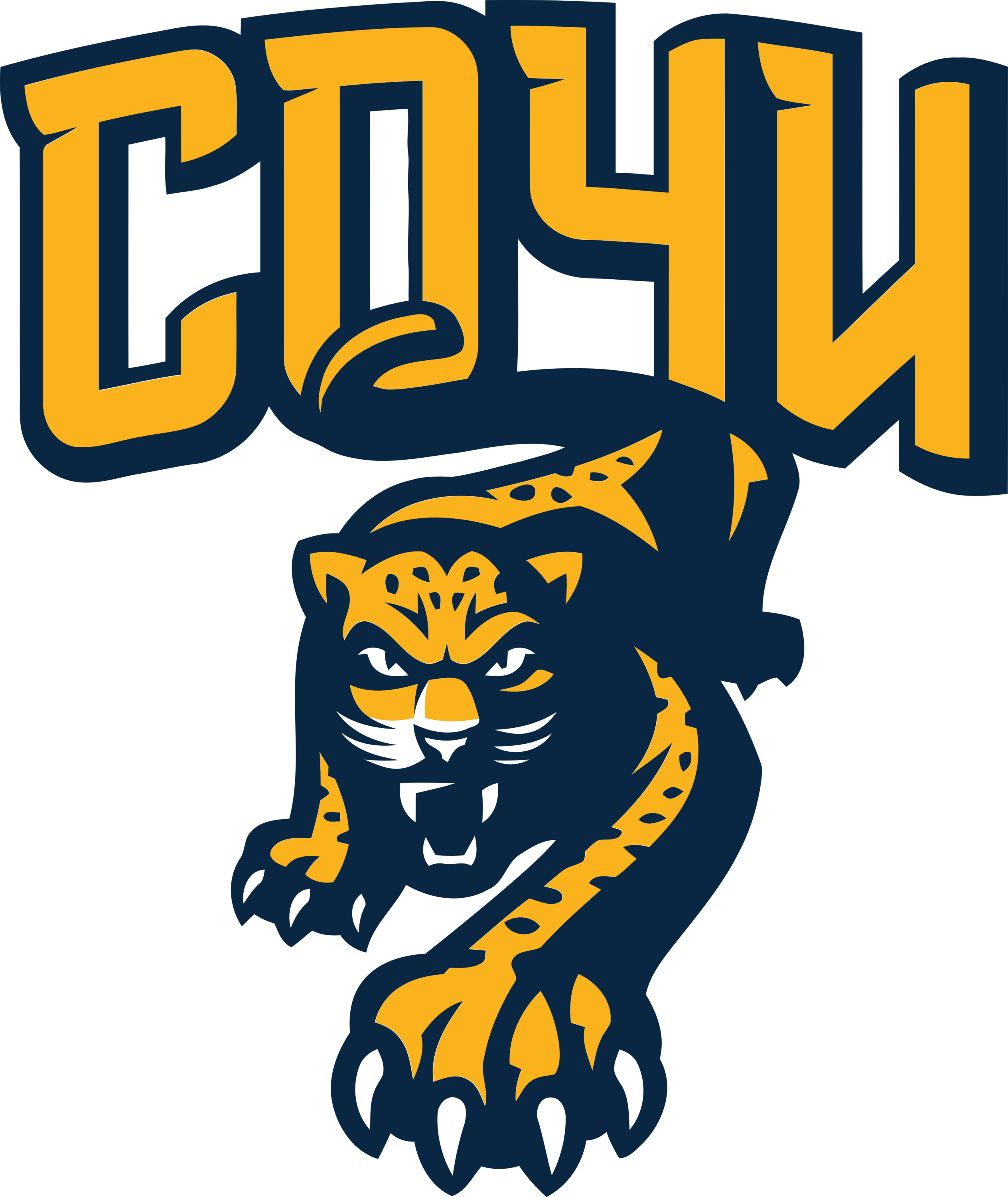 HC Sochi Logo