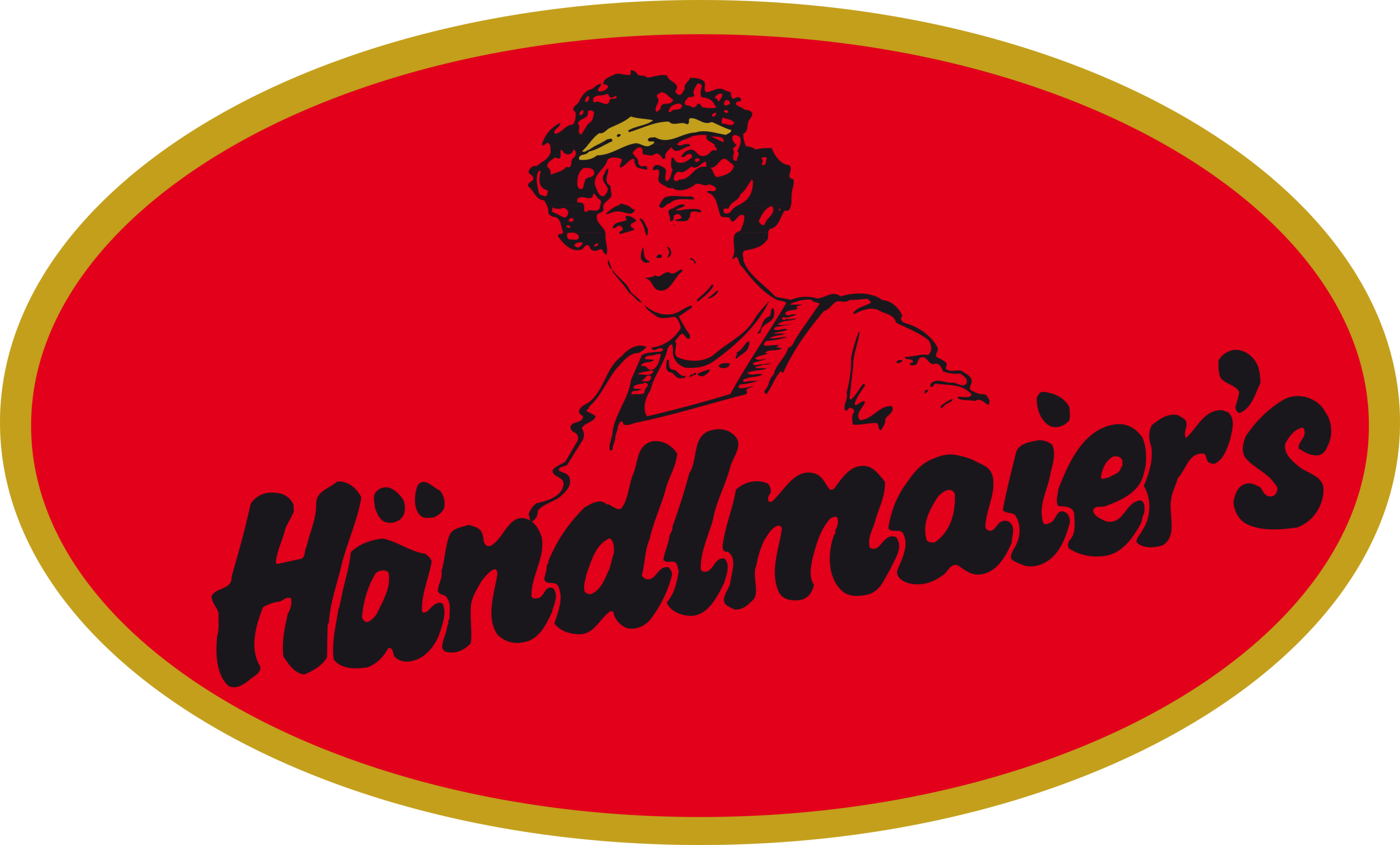 Händlmaier Logo