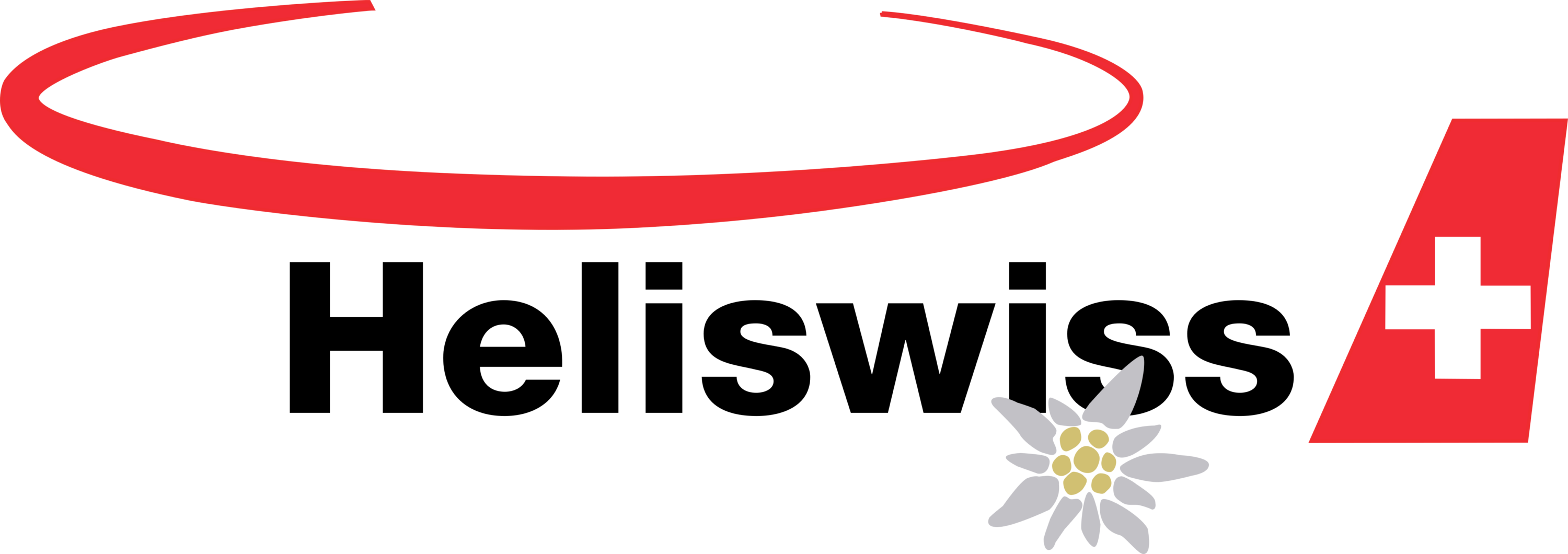 Heliswiss Logo