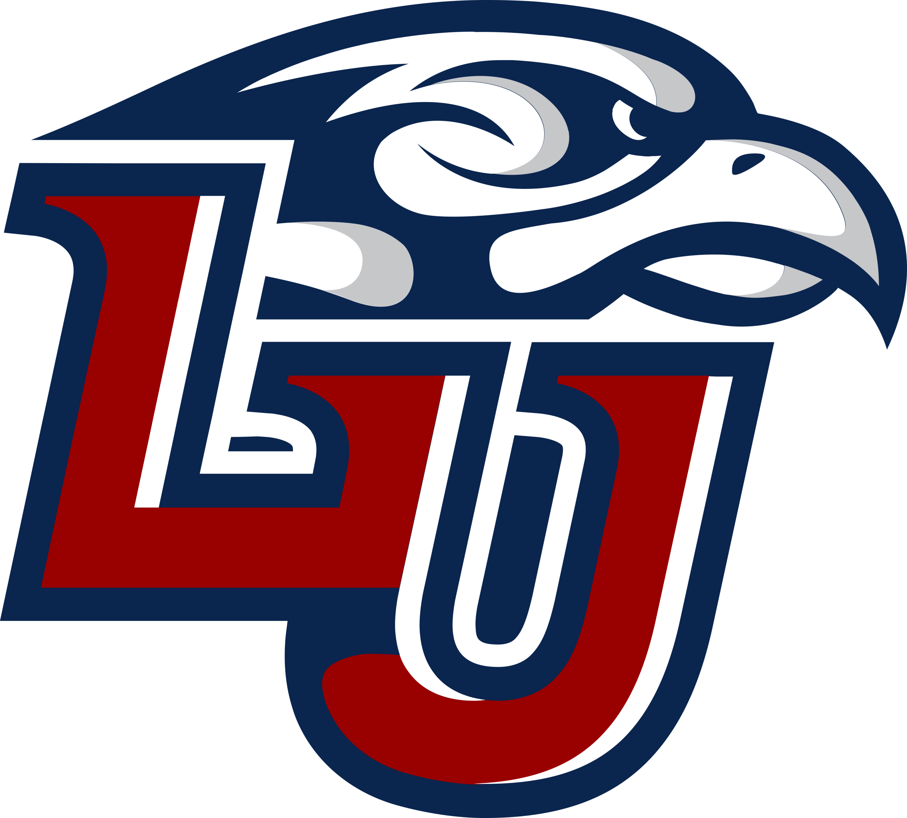 Liberty Flames Logo