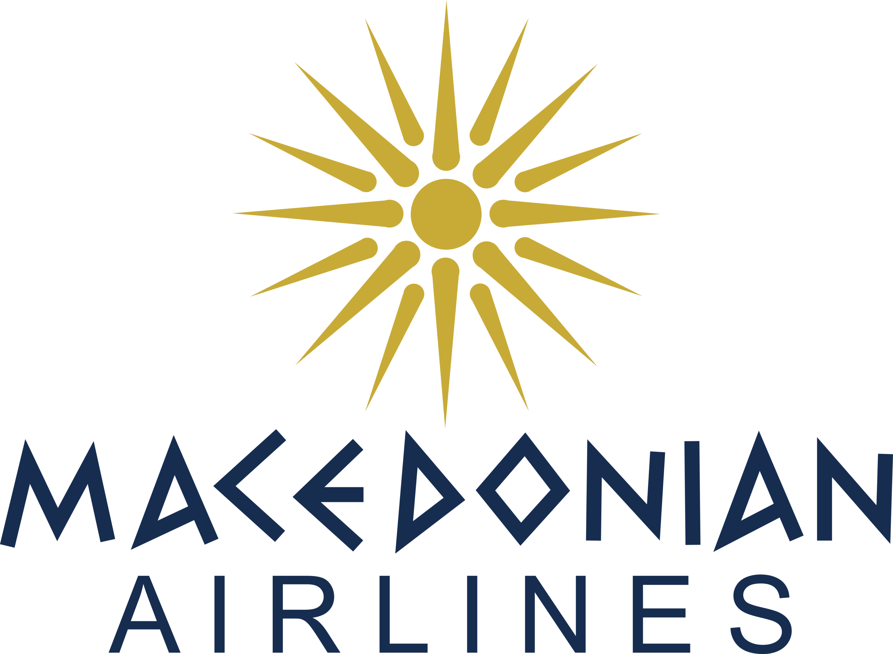 Macedonian Airlines Logo