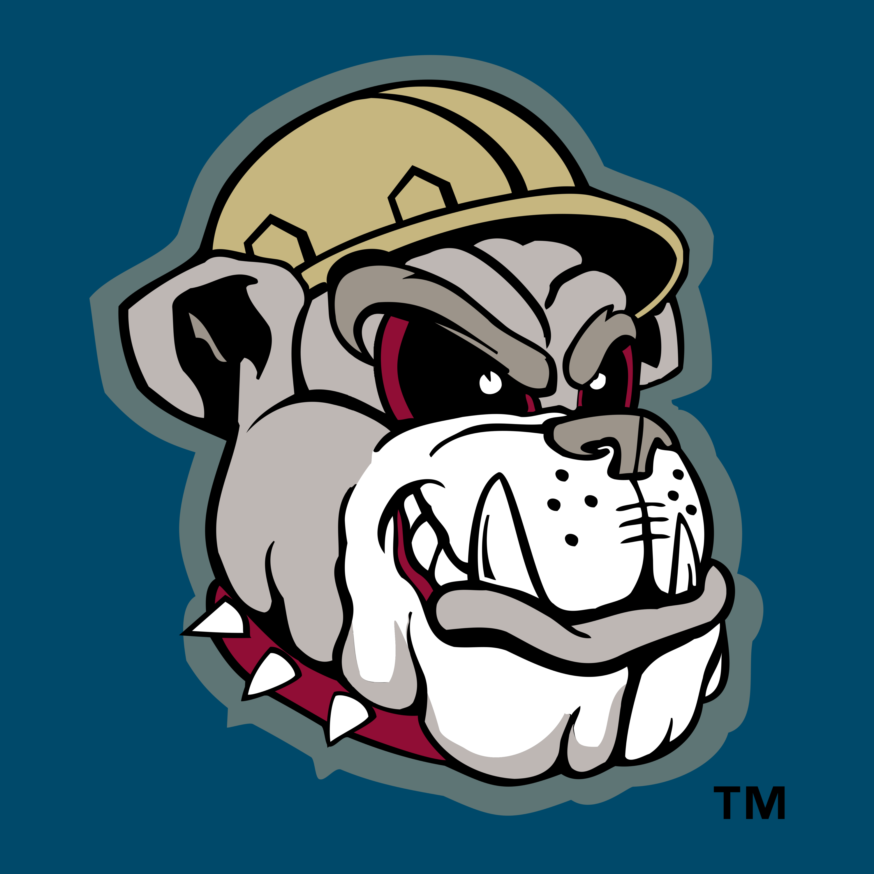 Mahoning Valley Scrappers Logo