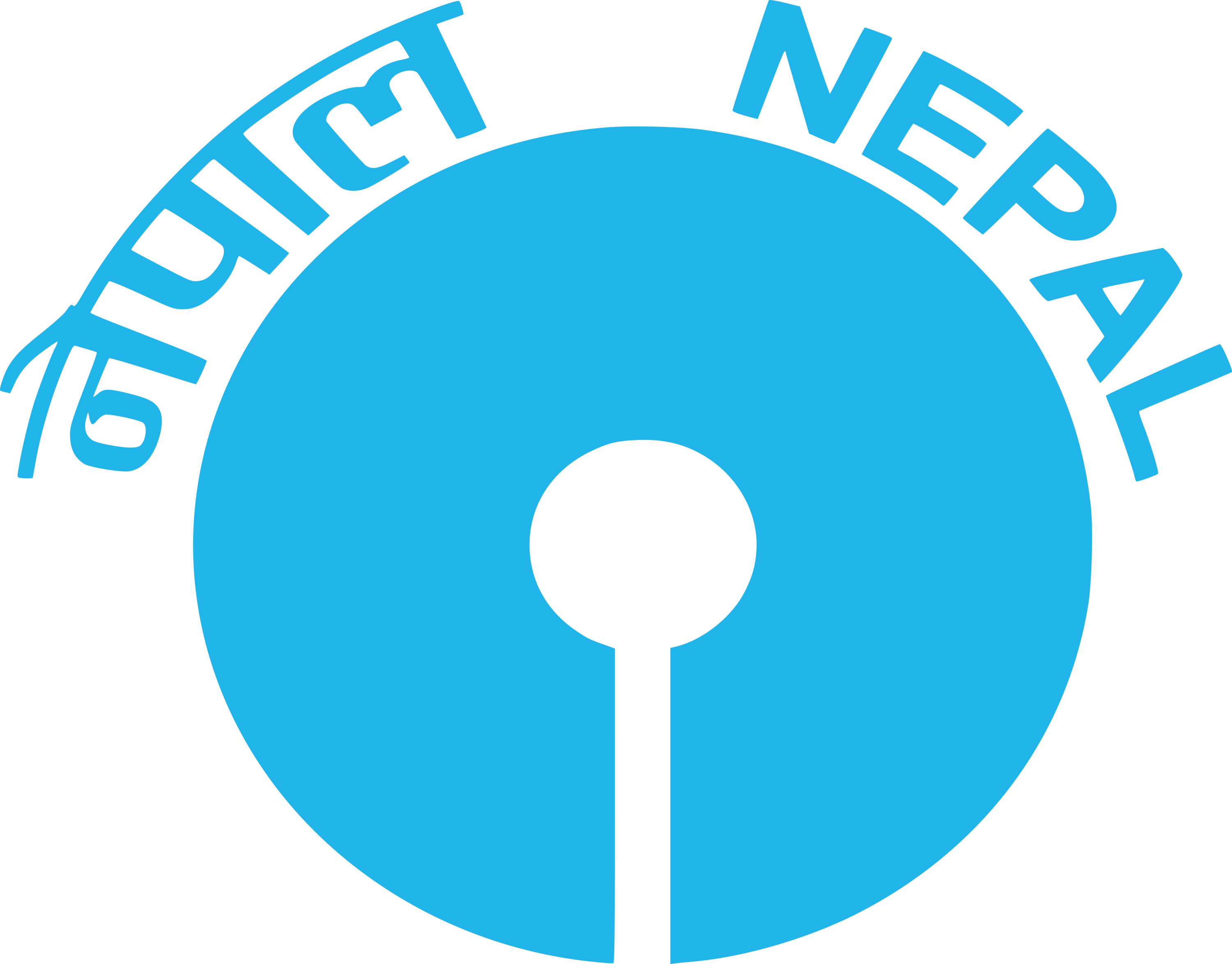 Nepal SBI Bank Logo