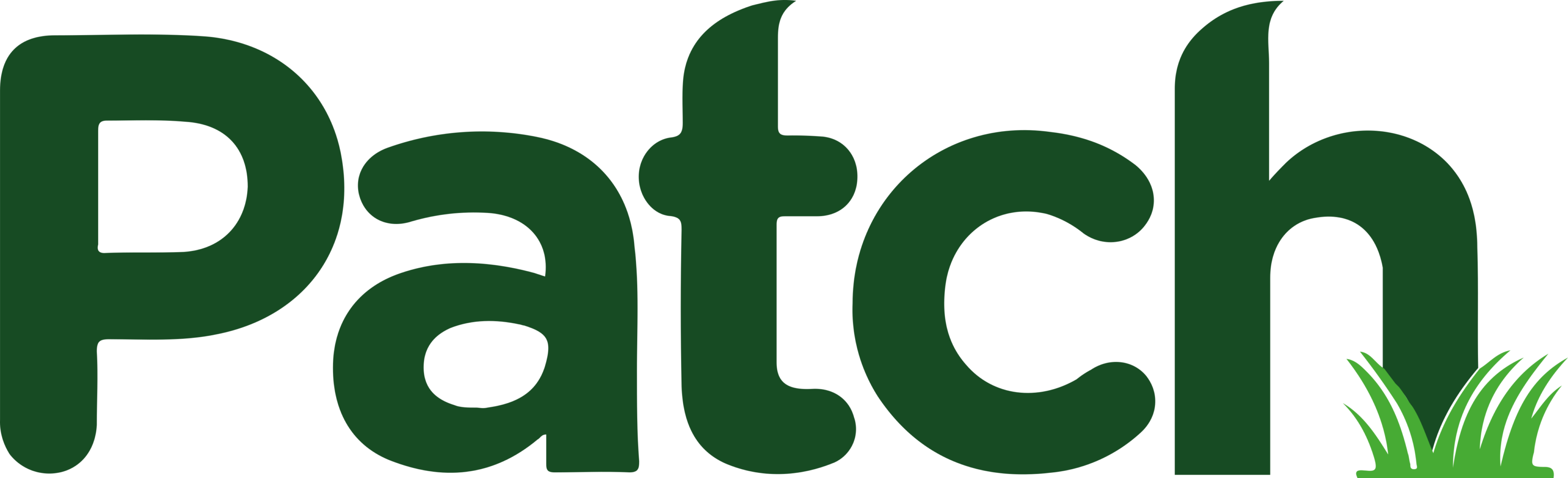 Patch Logo