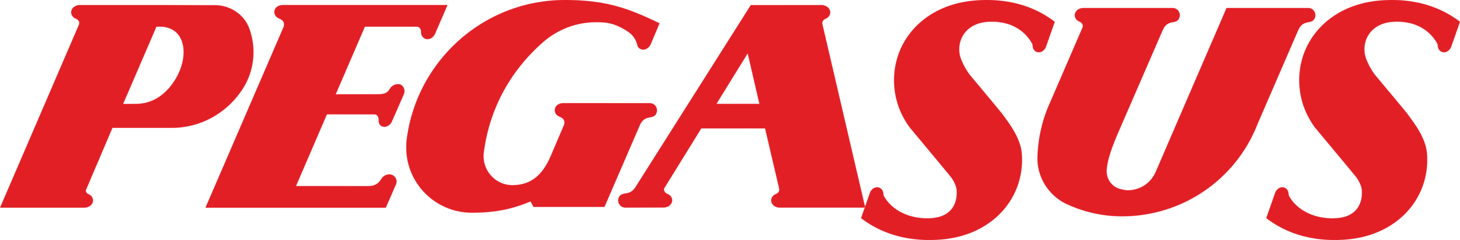 Pegasus Airlines Logo