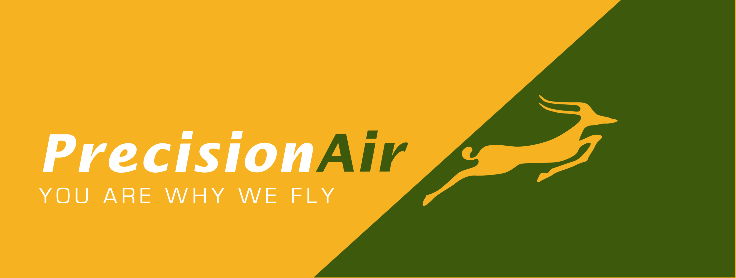 Precision Air Logo