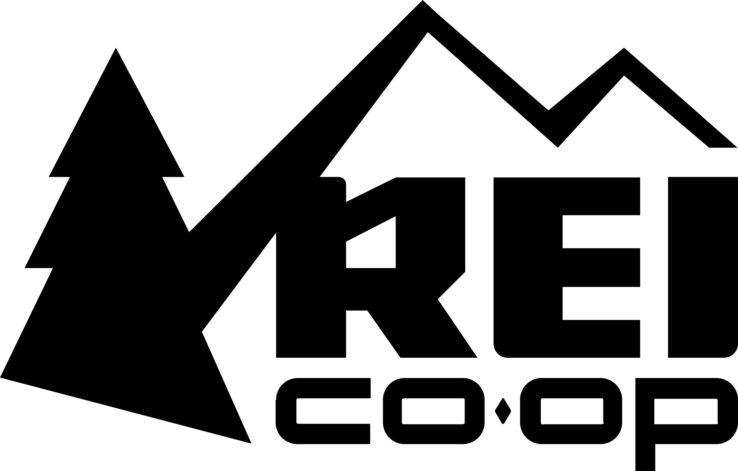 Recreational Equipment, Inc. Logo