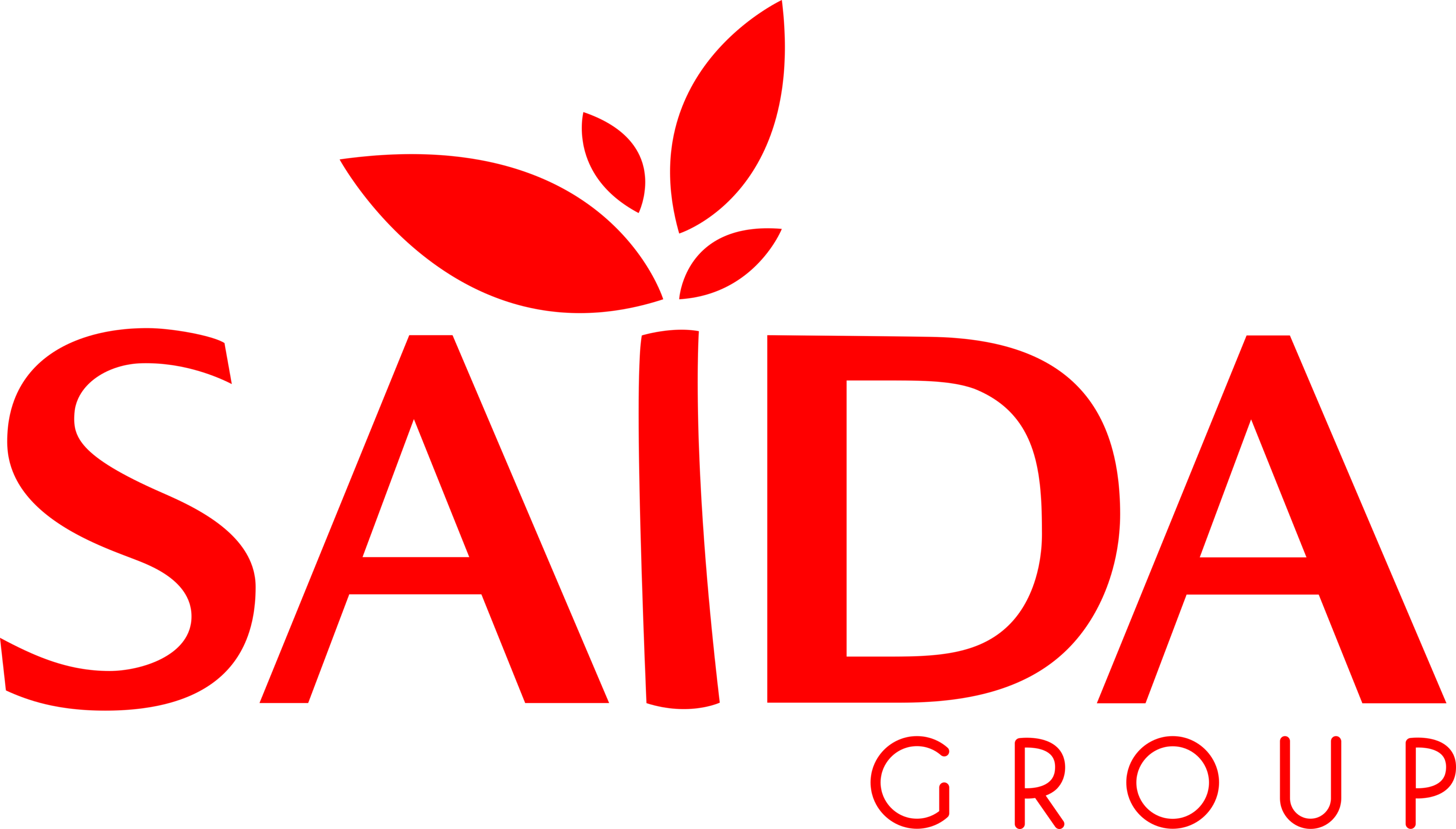Saida Group Logo