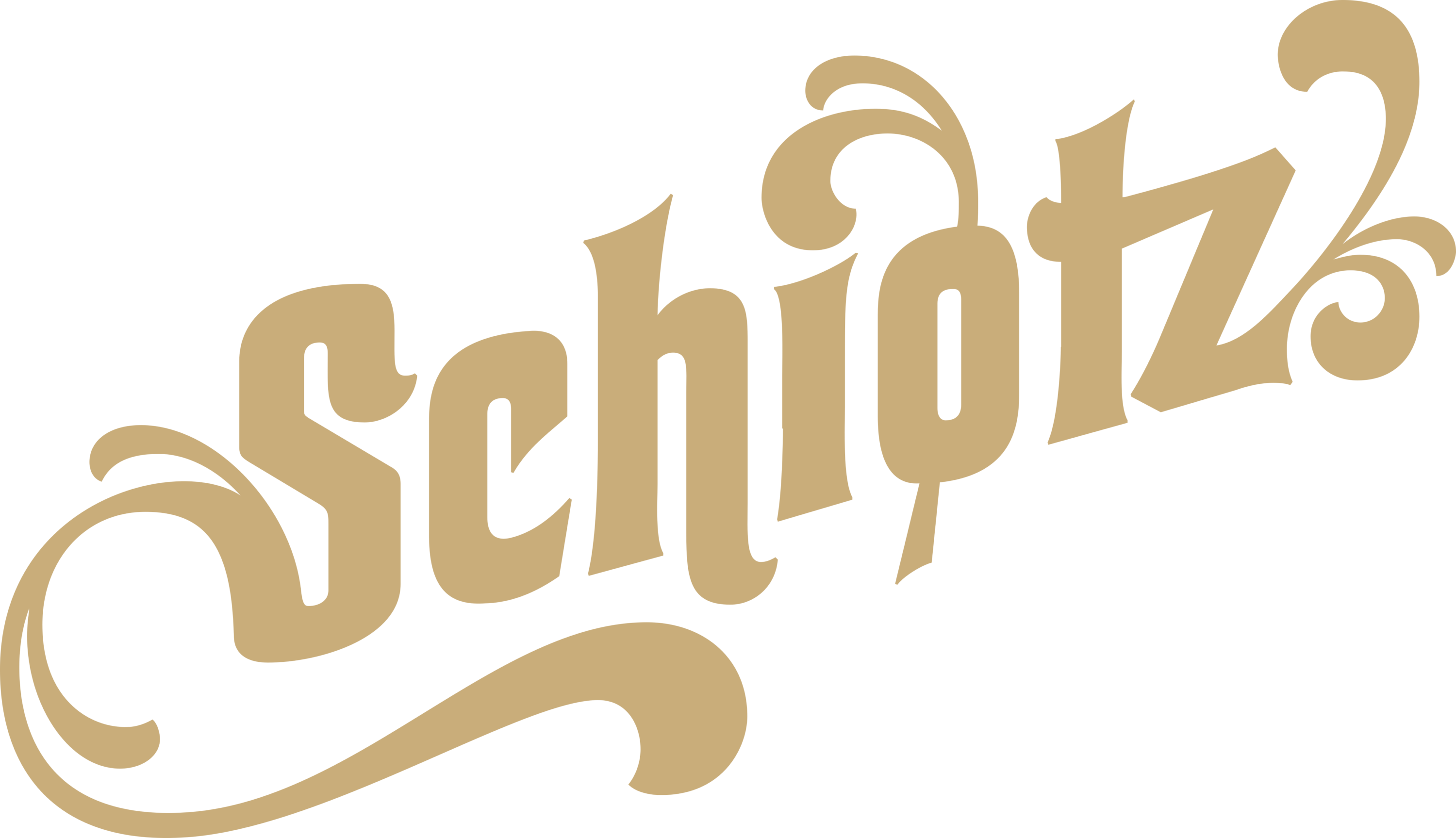 Schiotz Logo