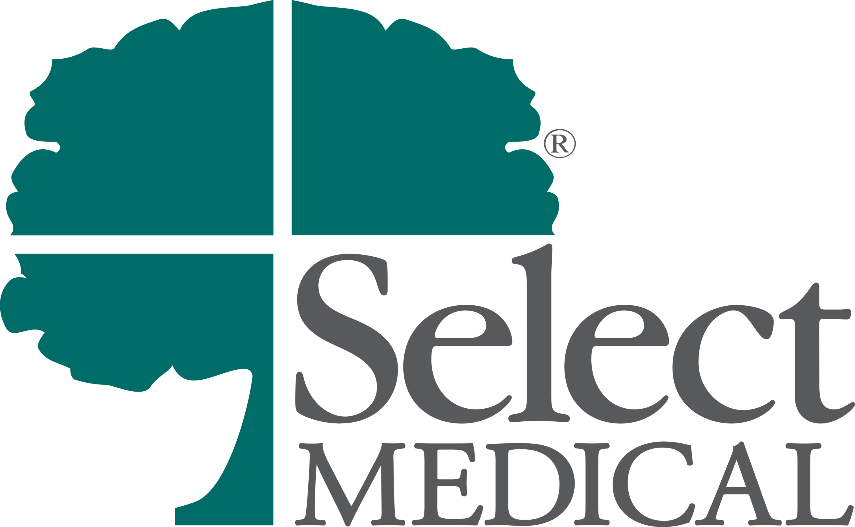 Select Medical Logo