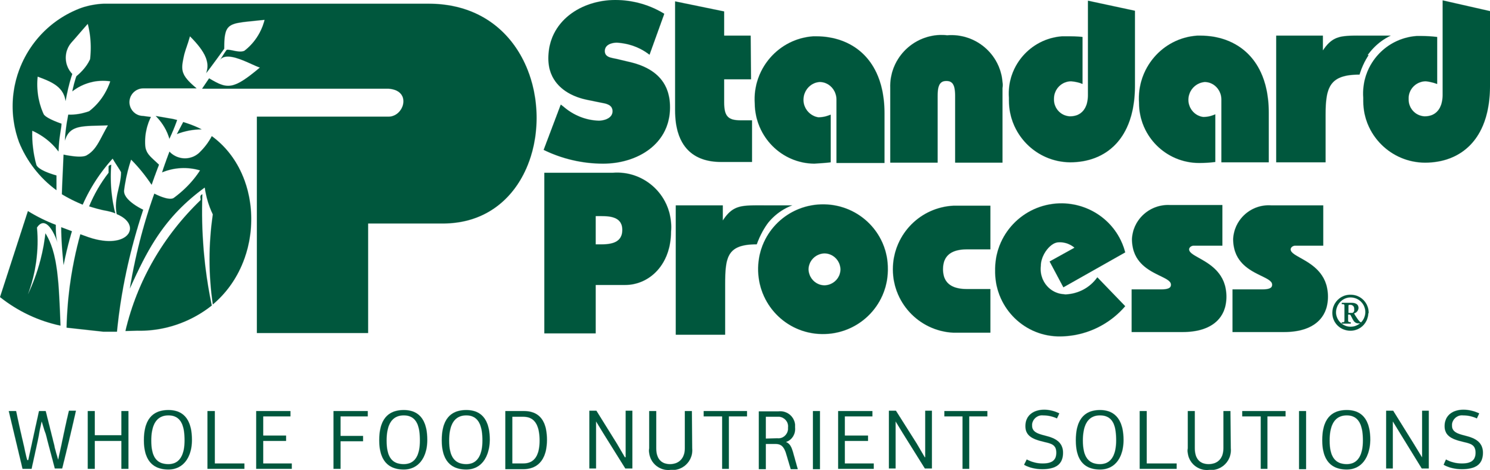 Standart Process Logo