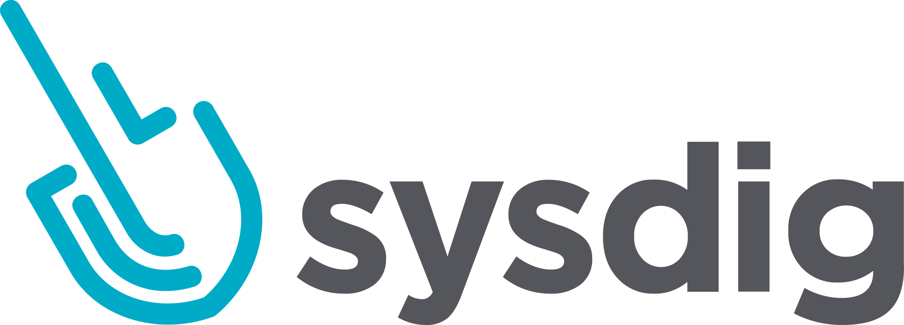 Sysdig Logo