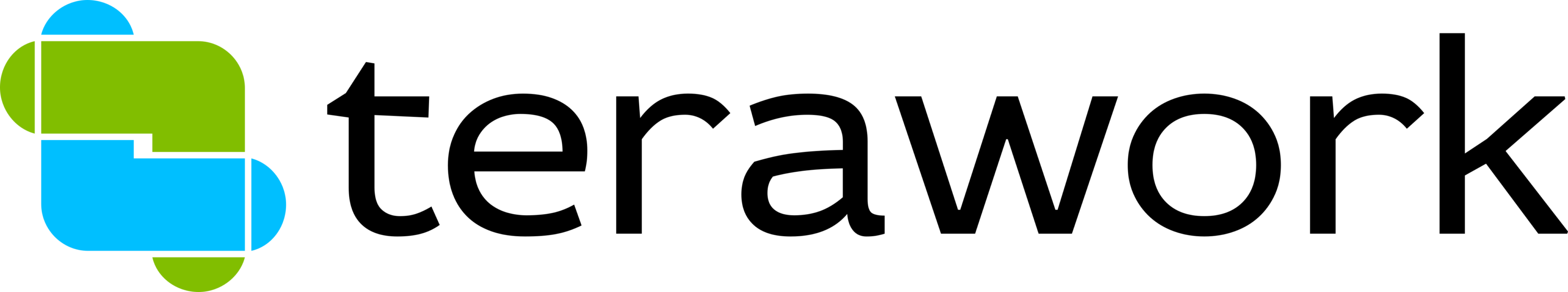 Terawork Logo