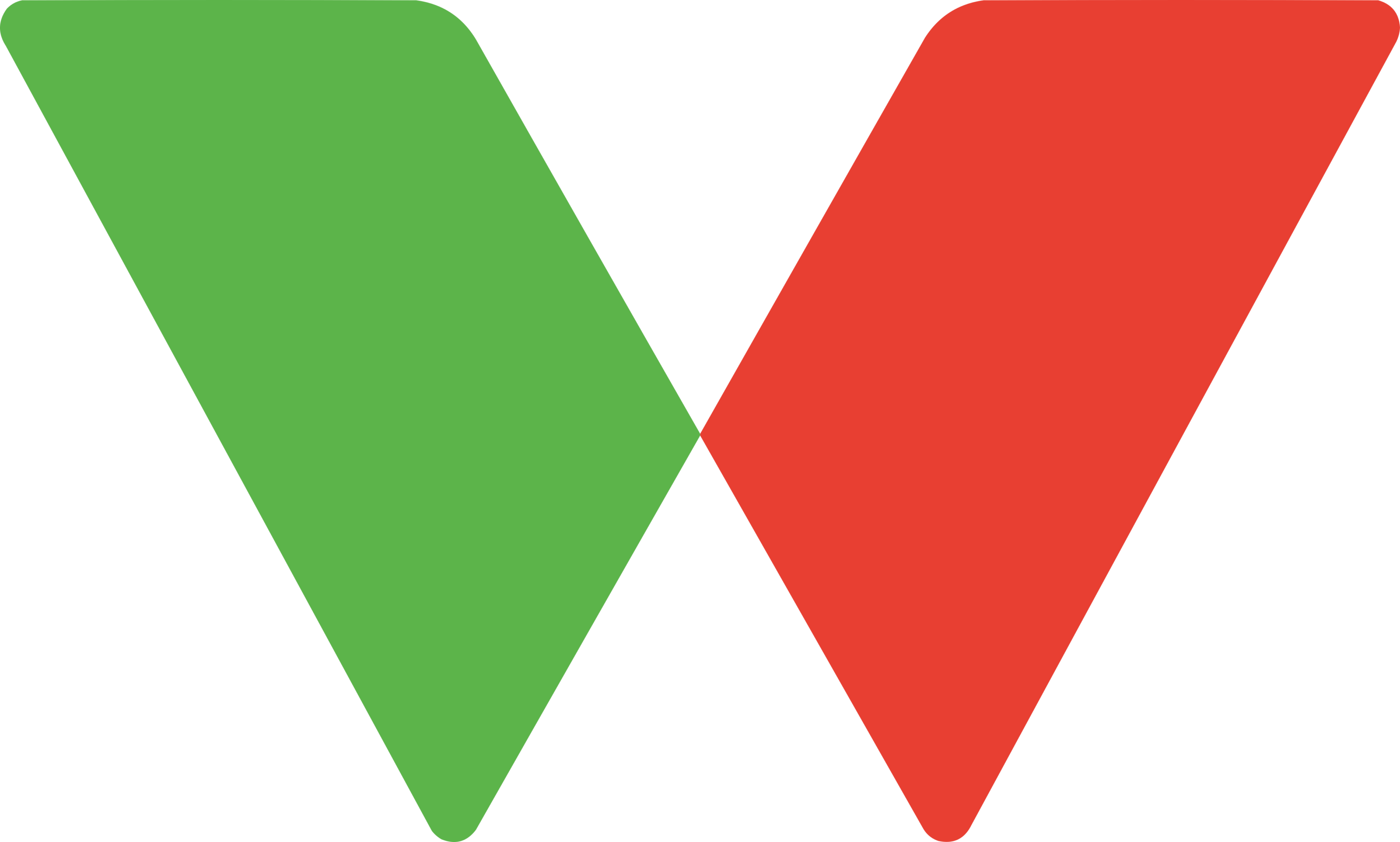 Twins Coin Logo
