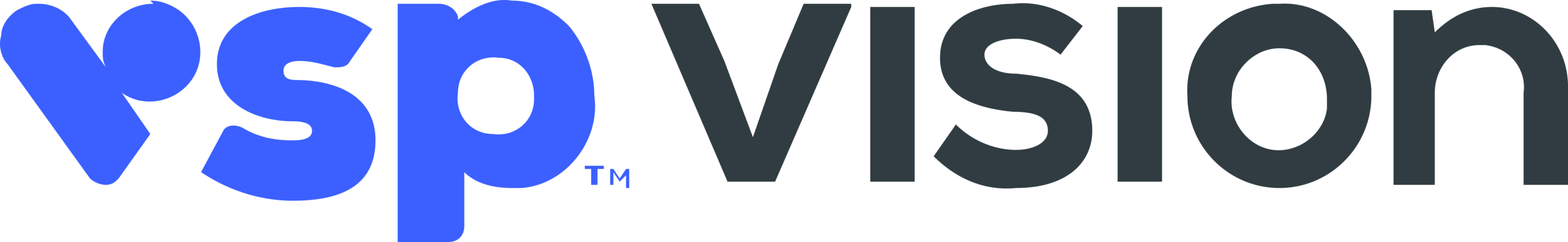 VSP Vision Logo