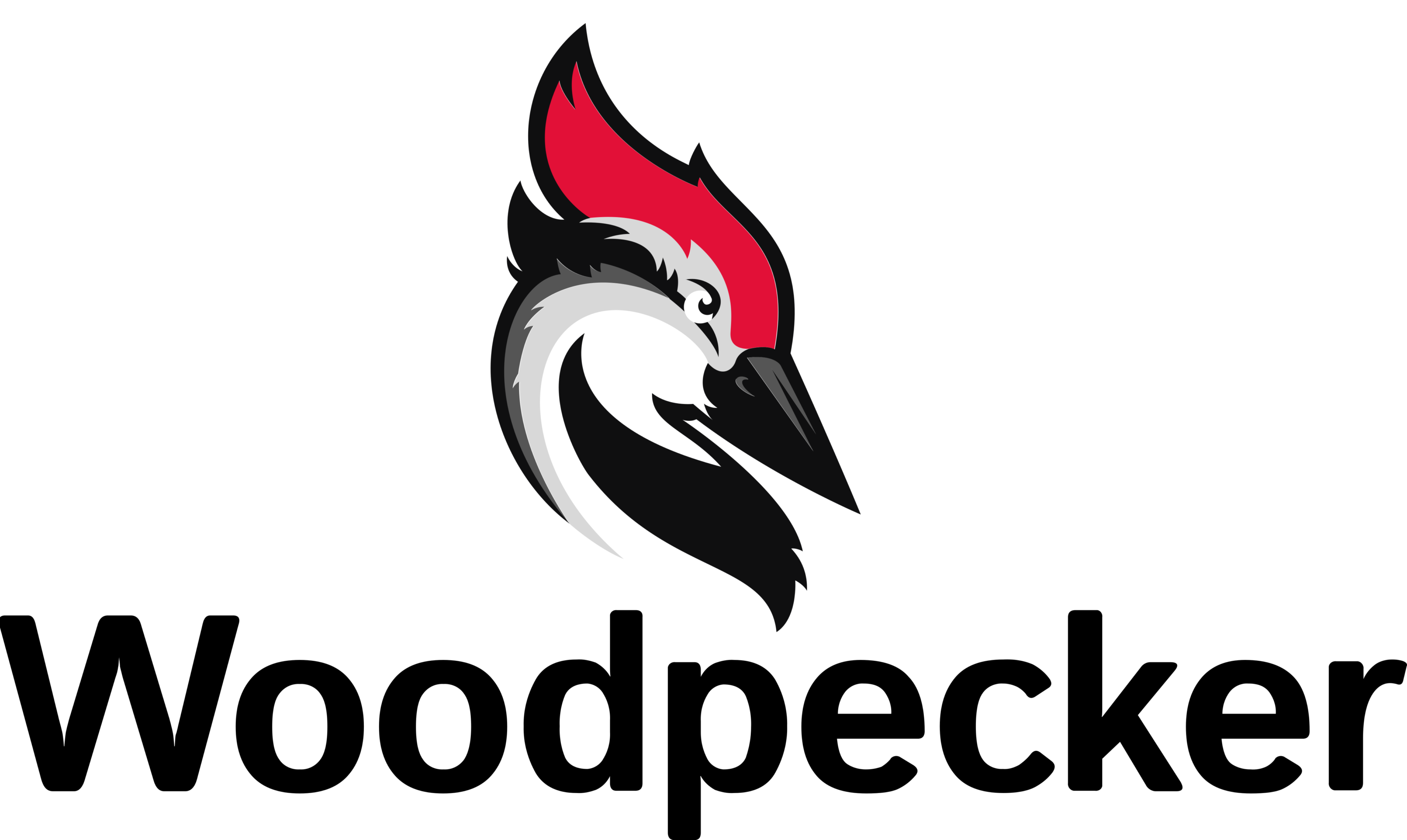 Woodpecker Logo