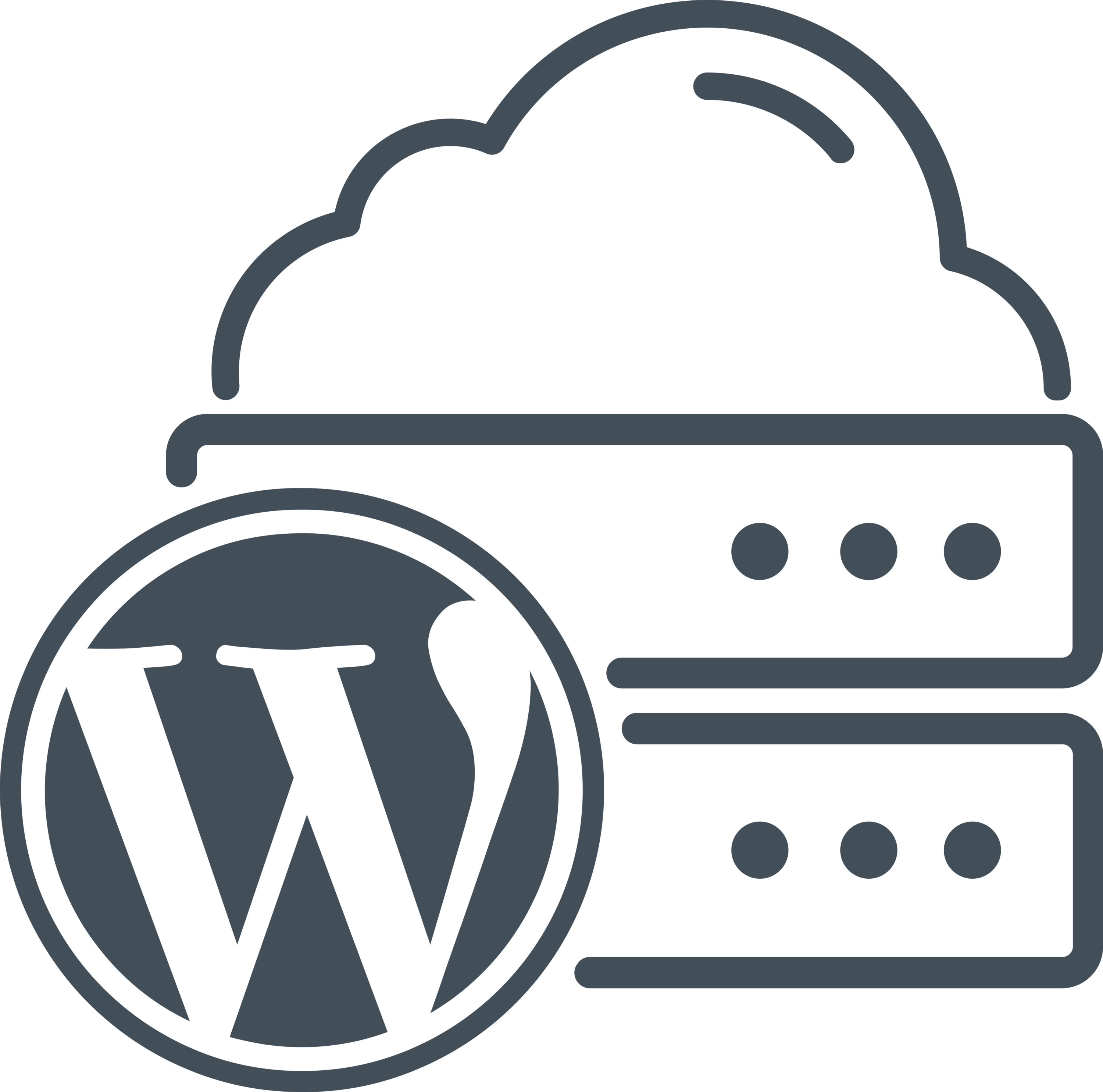 Wordpress Server Logo