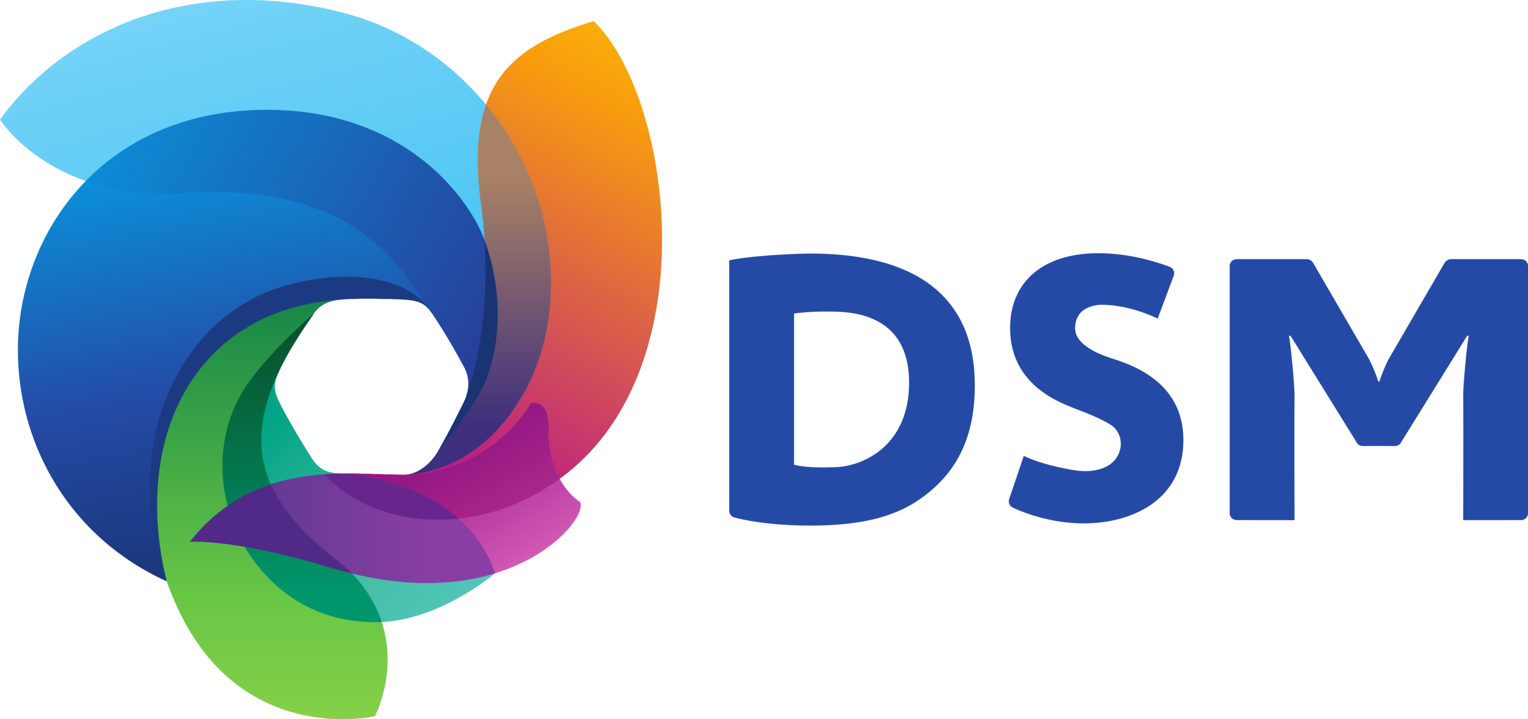 Koninklijke DSM N.V. Logo