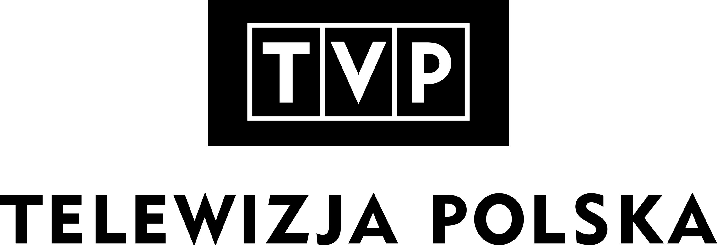 Telewizja Polska print variant Logo 2003