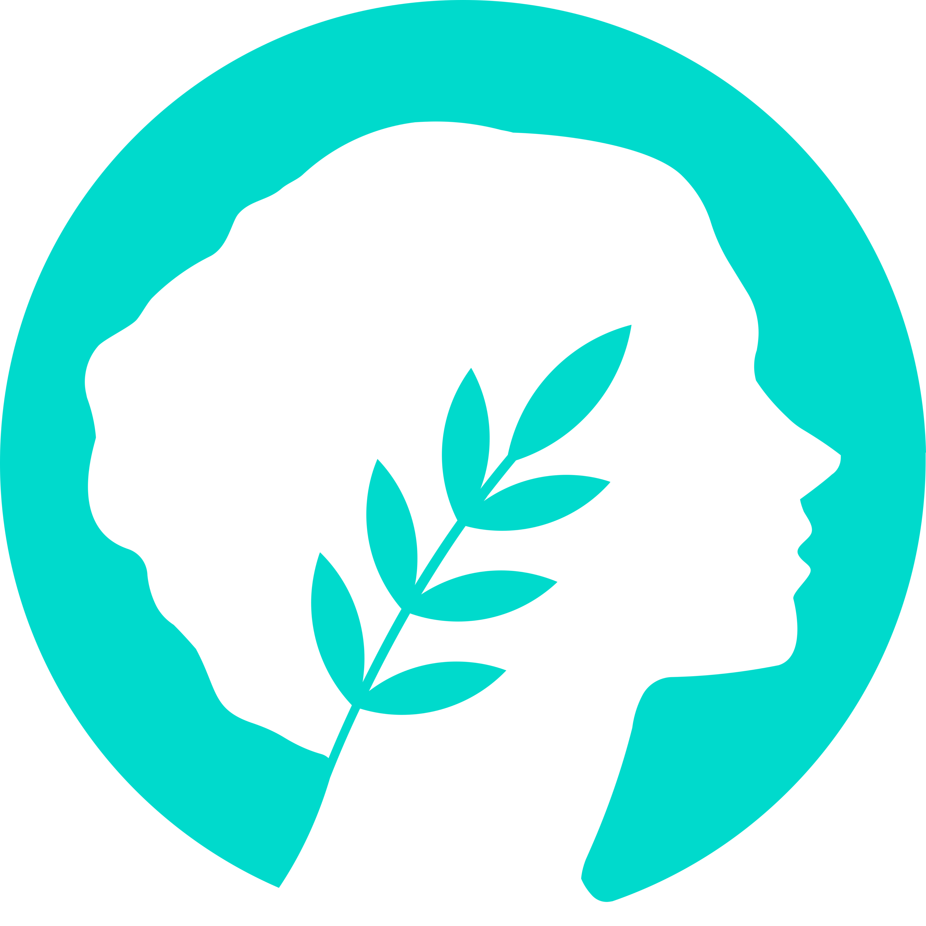 MetisDAO Logo