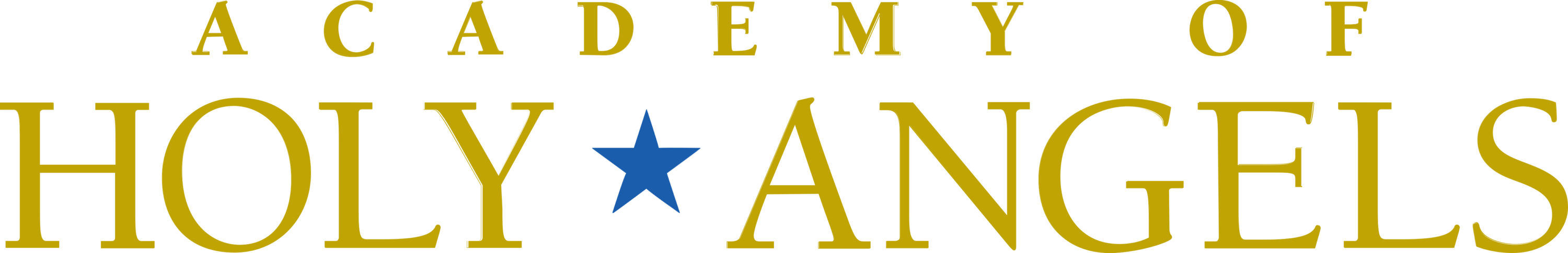 Academy of Holy Angels Logo
