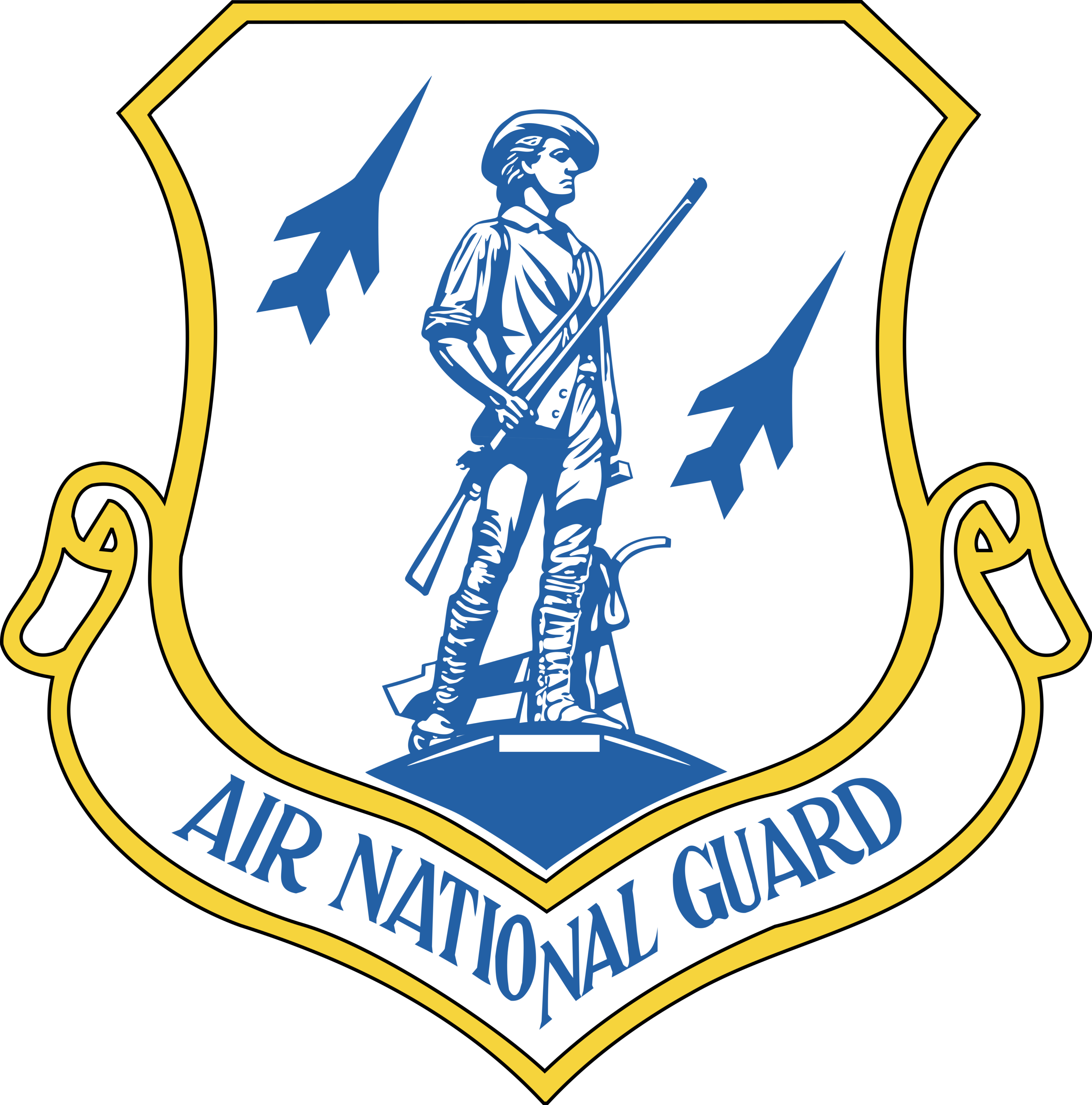 Air National Guard Logo