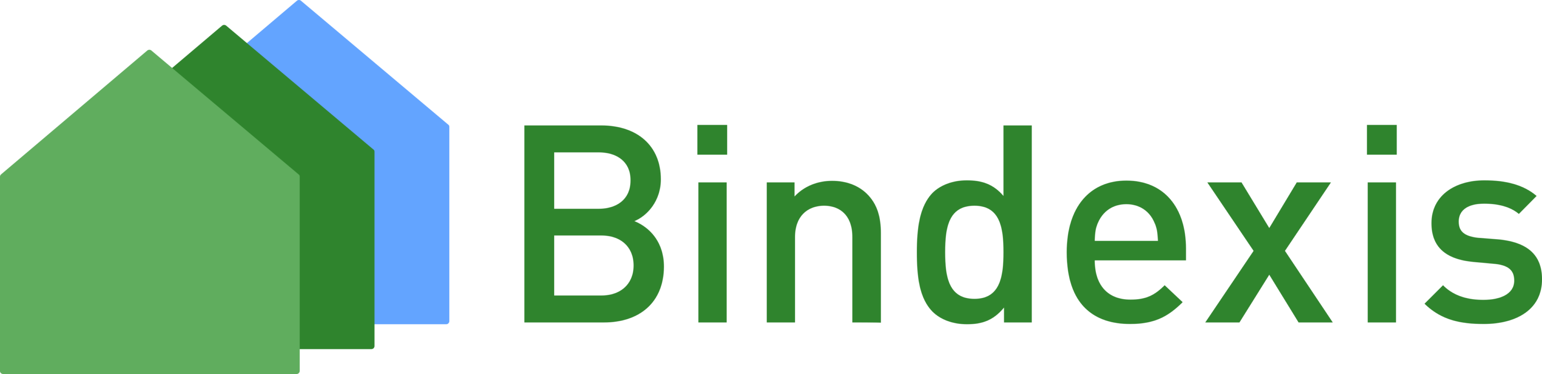 Bindexis AG Logo