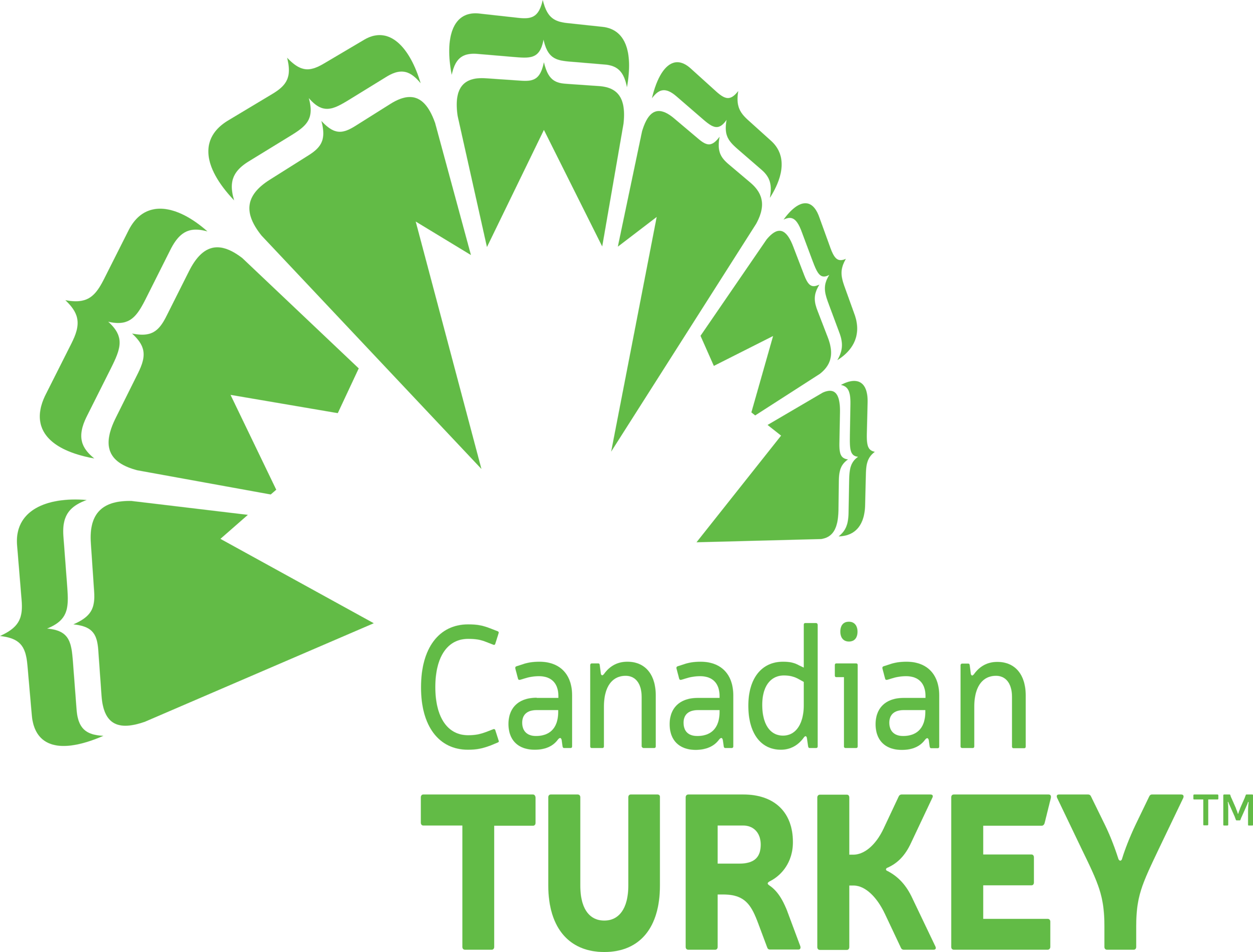 Canadian Turkey Logo