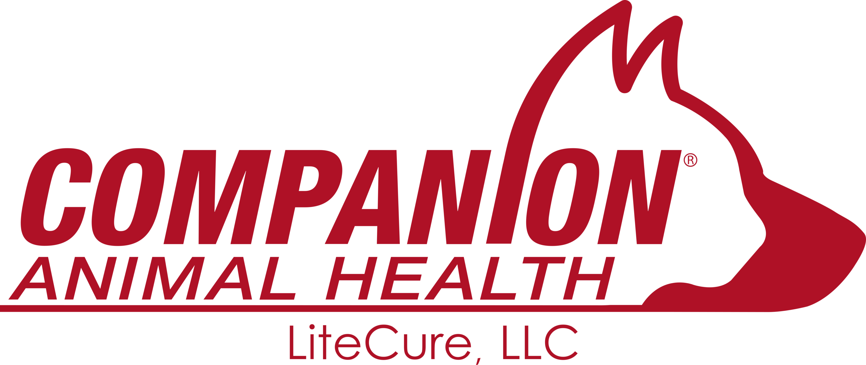 Companion Animal Health Logo