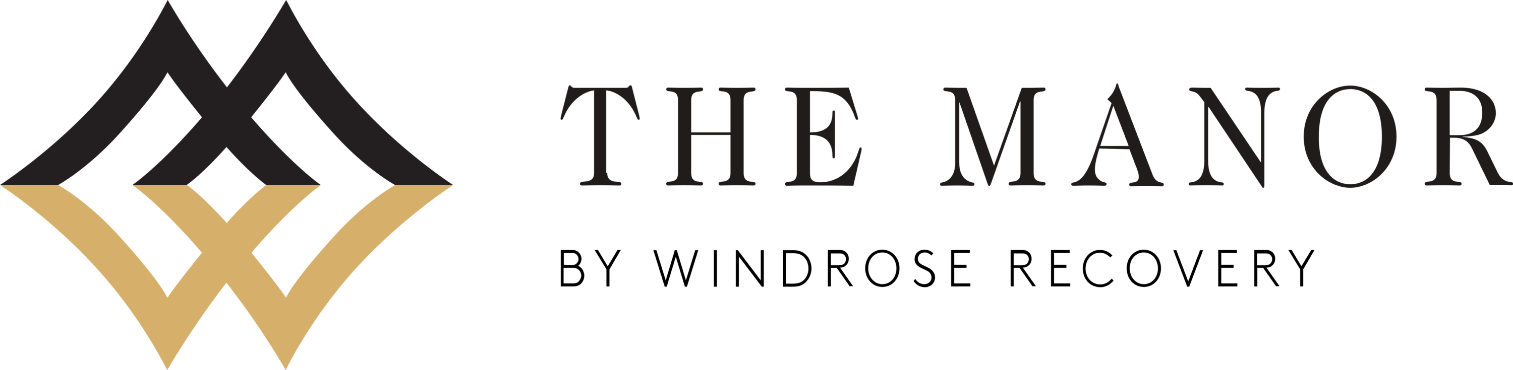 Discover the Manor Logo