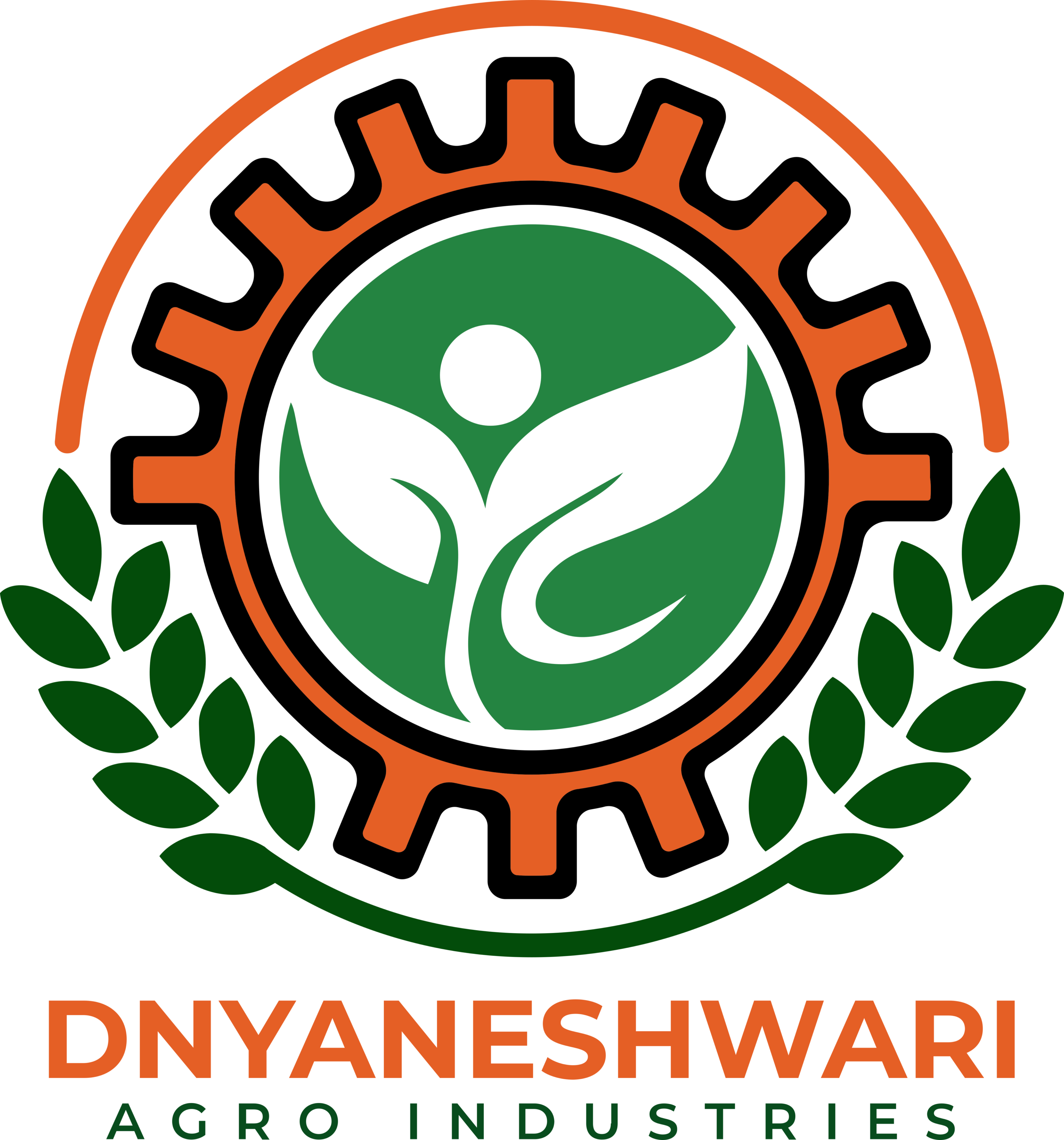 Dnyaneshwari Agro Industries Logo