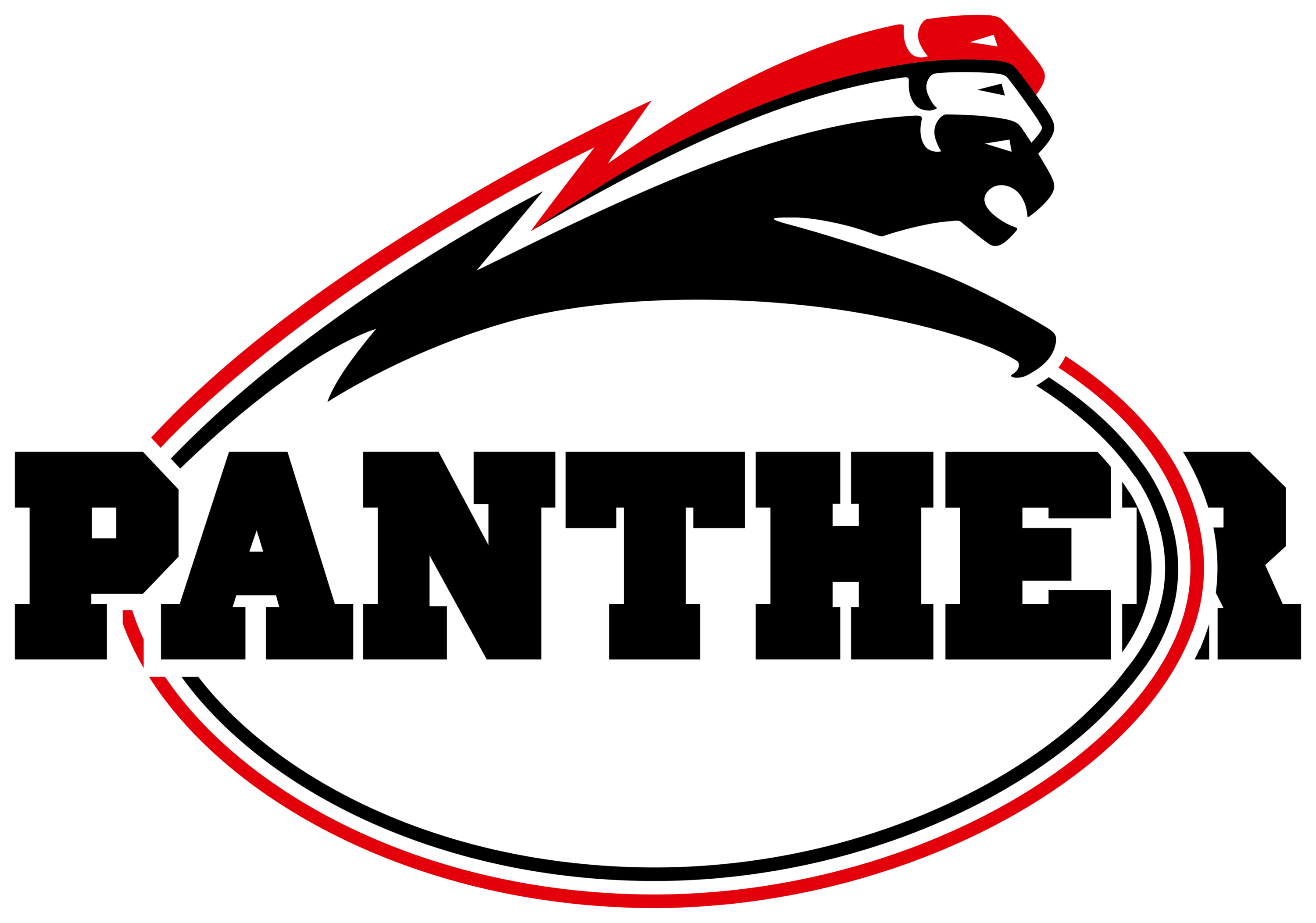 Dusseldorf Panther Logo