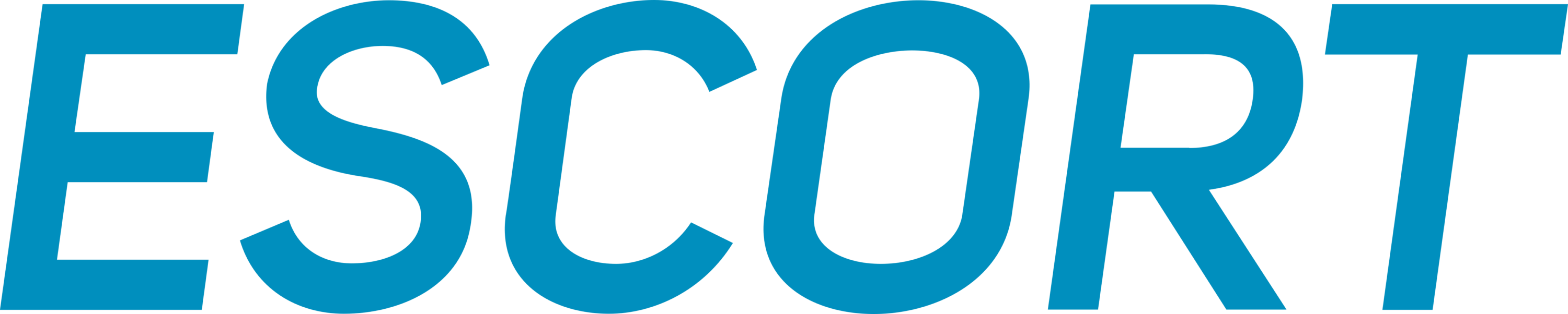 Escort Radar Logo