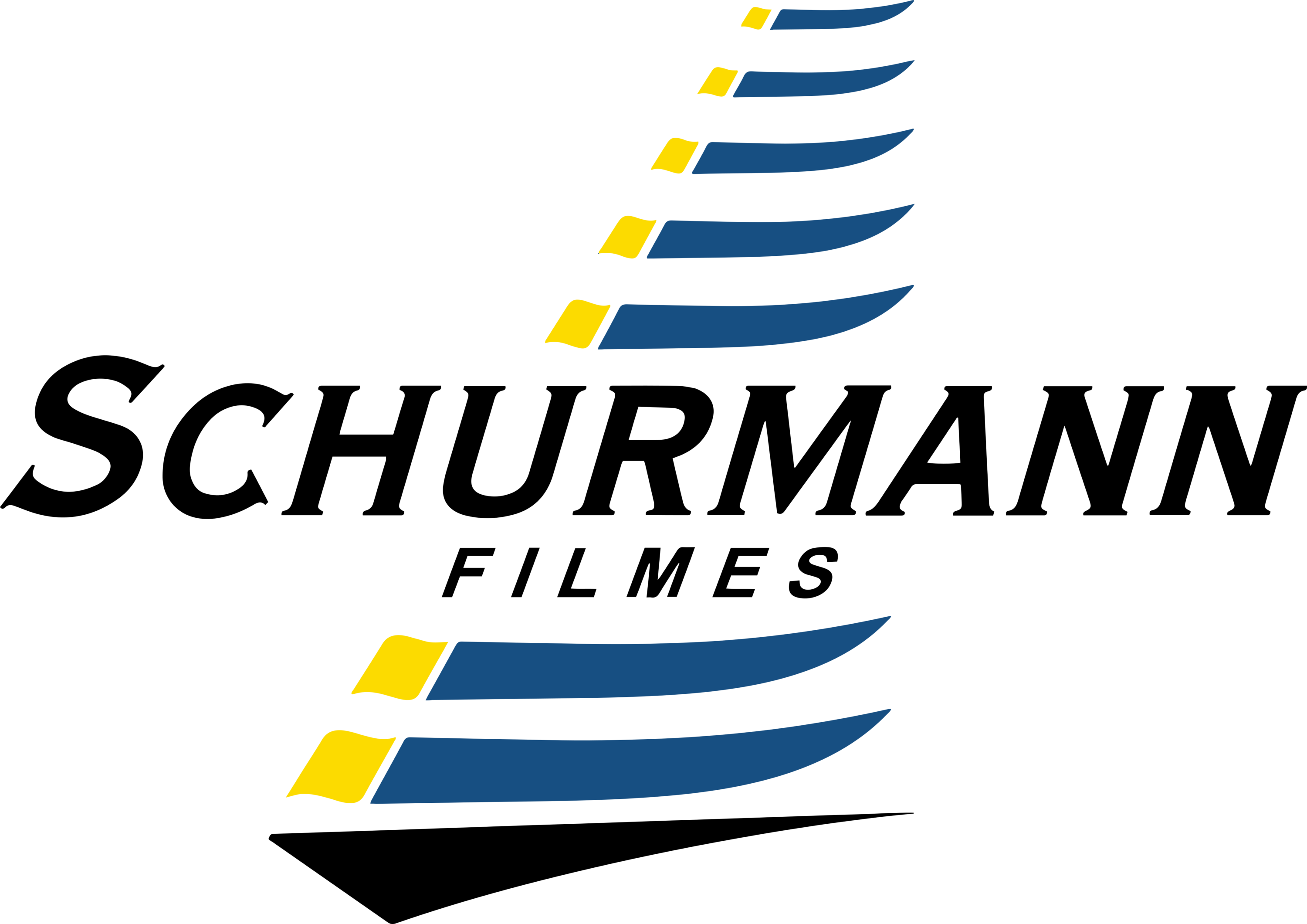 Familia Schurmann Logo