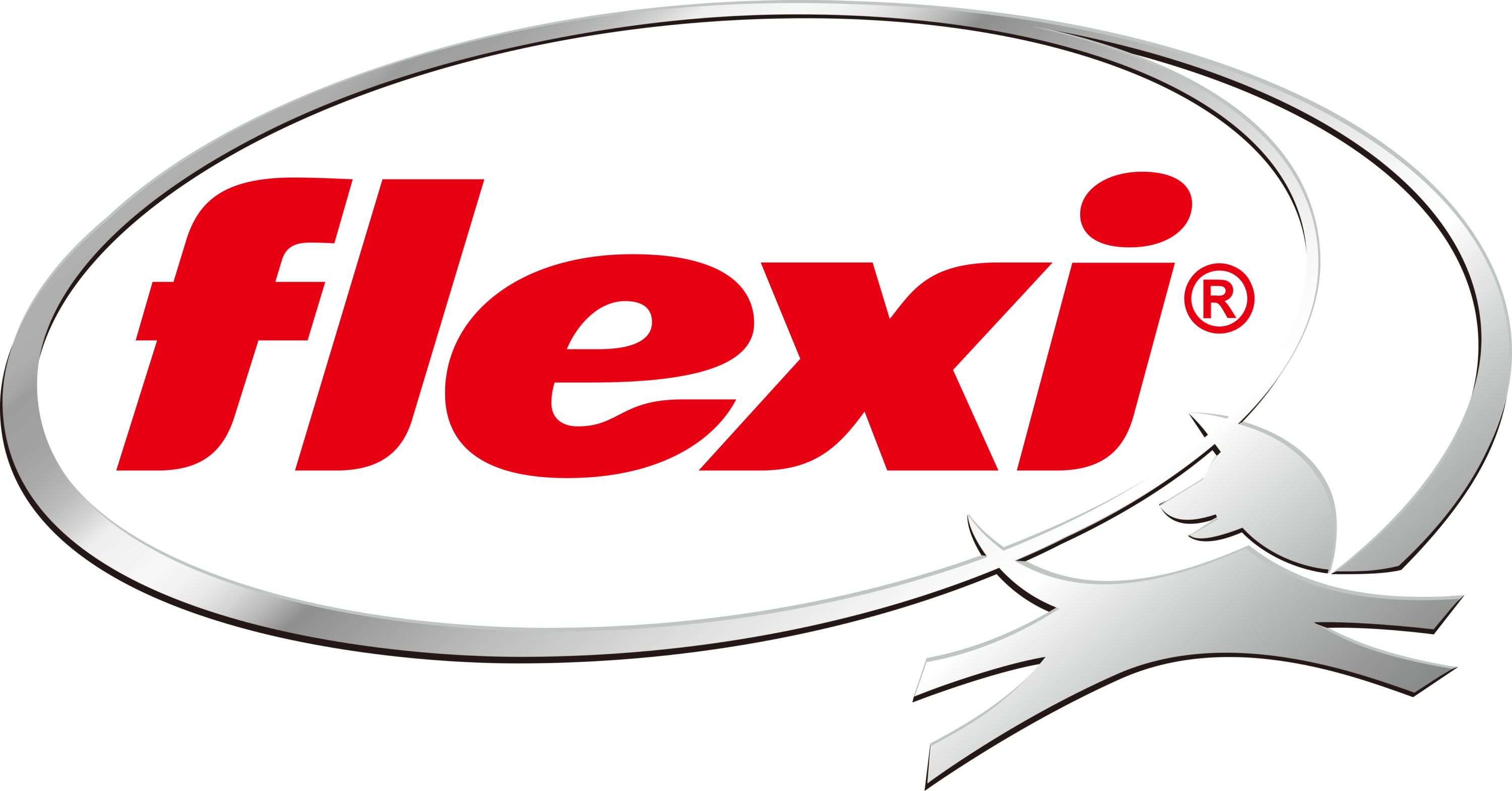 Flexi Logo