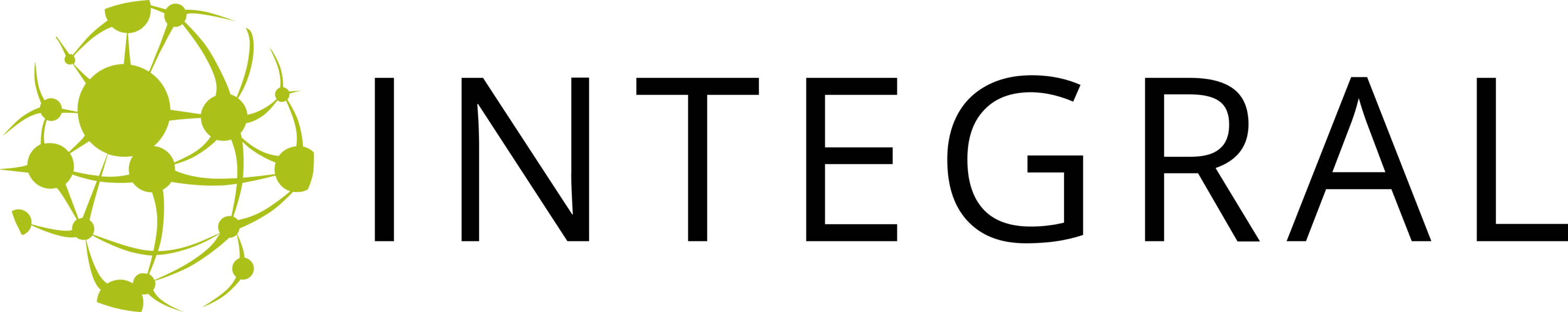 Integral Group Logo