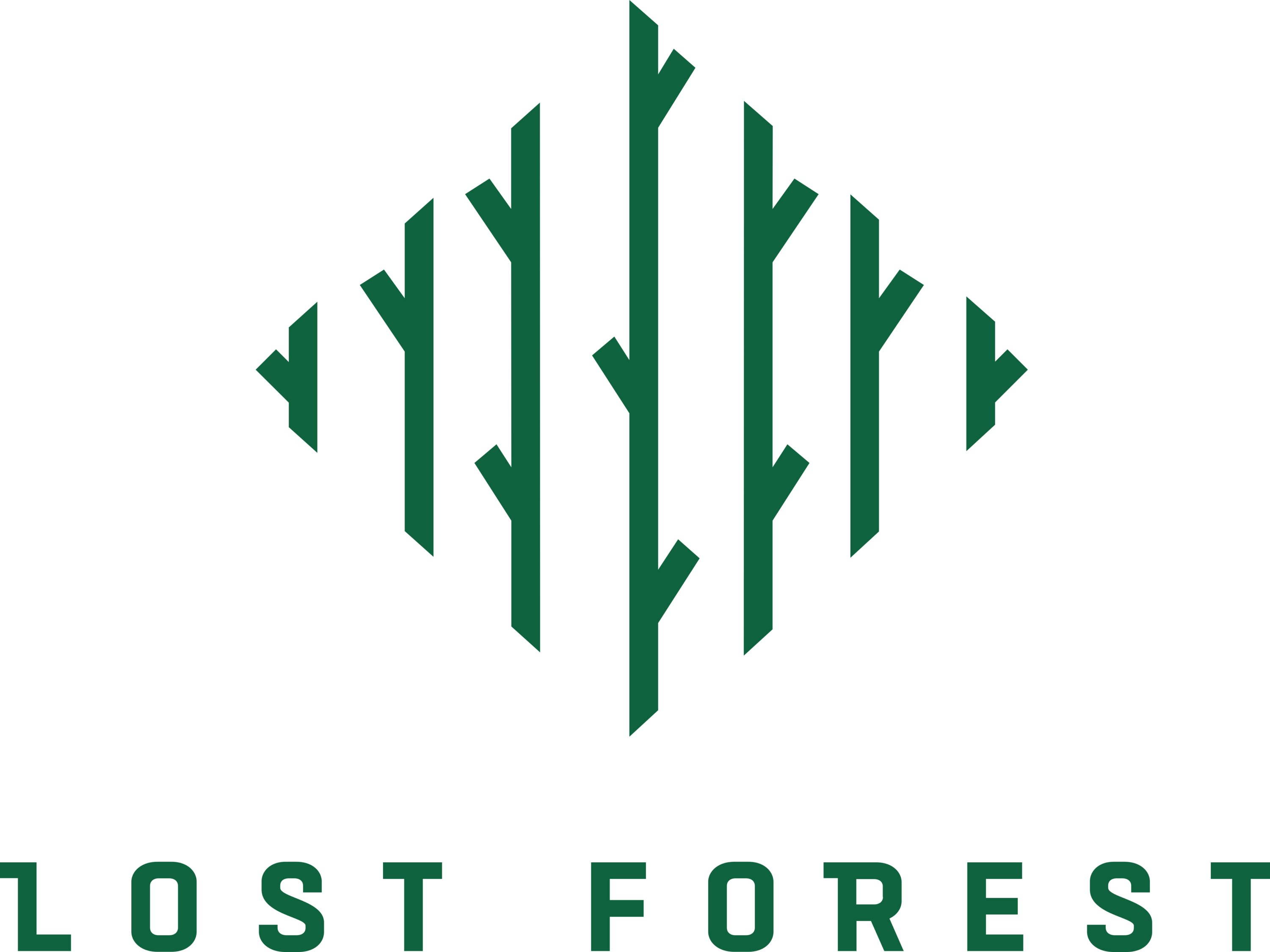 Lost Forest Logo