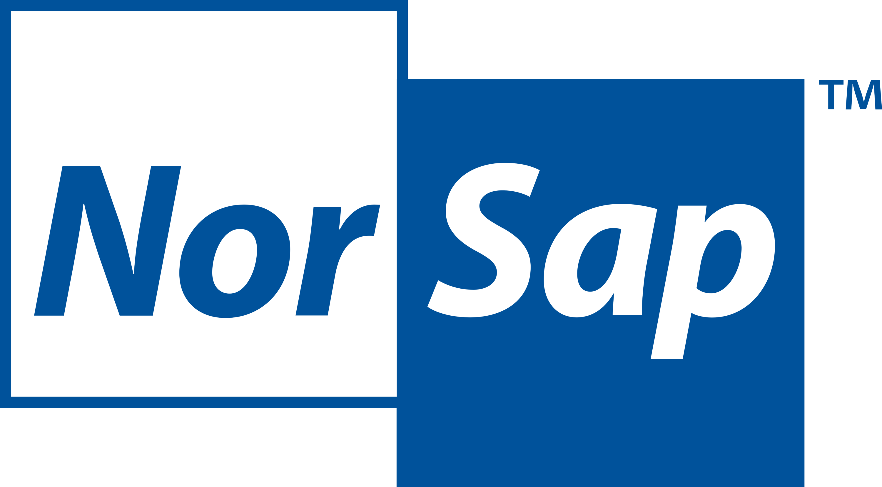 Norsap AS Logo