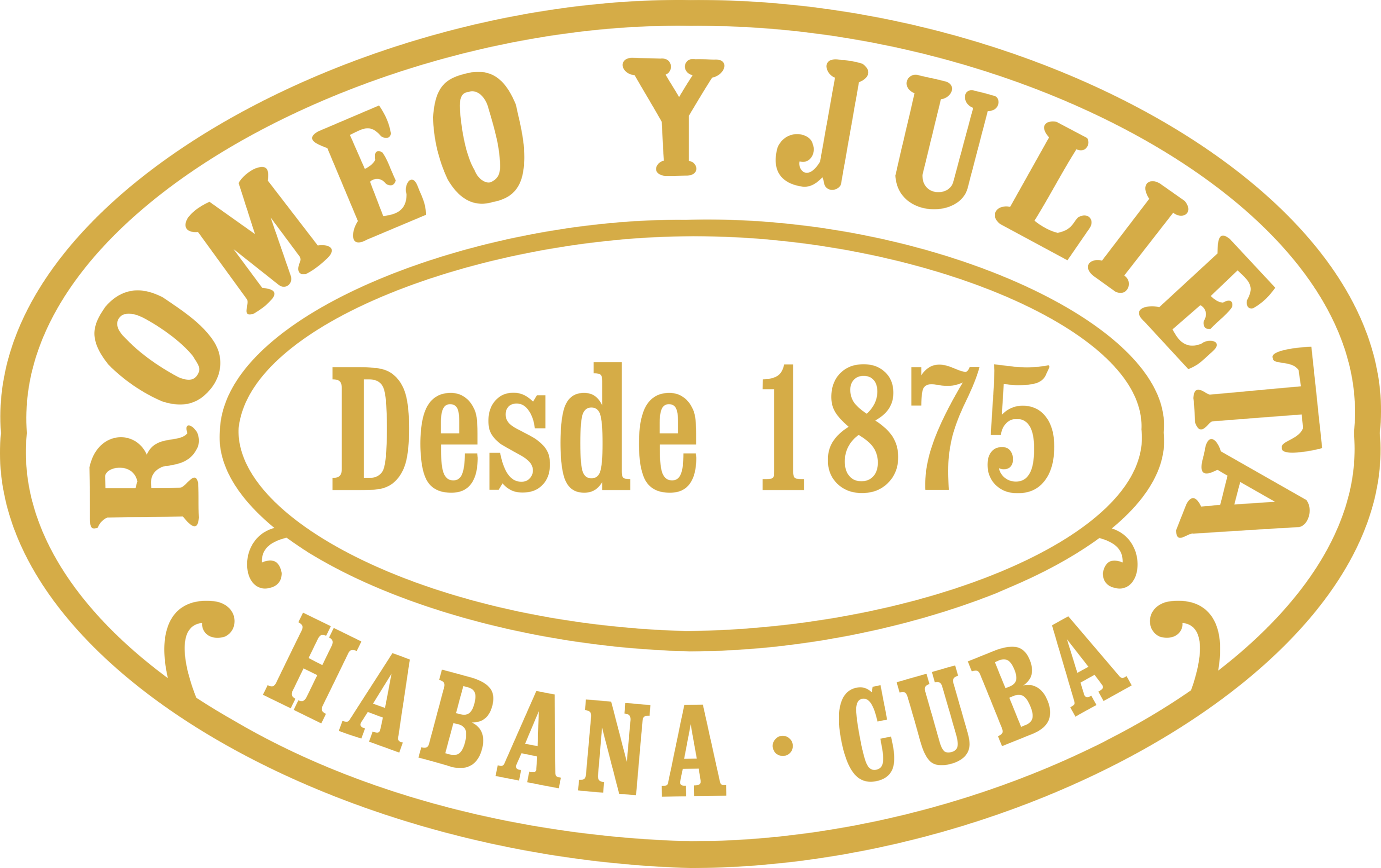Romeo y Julieta Logo