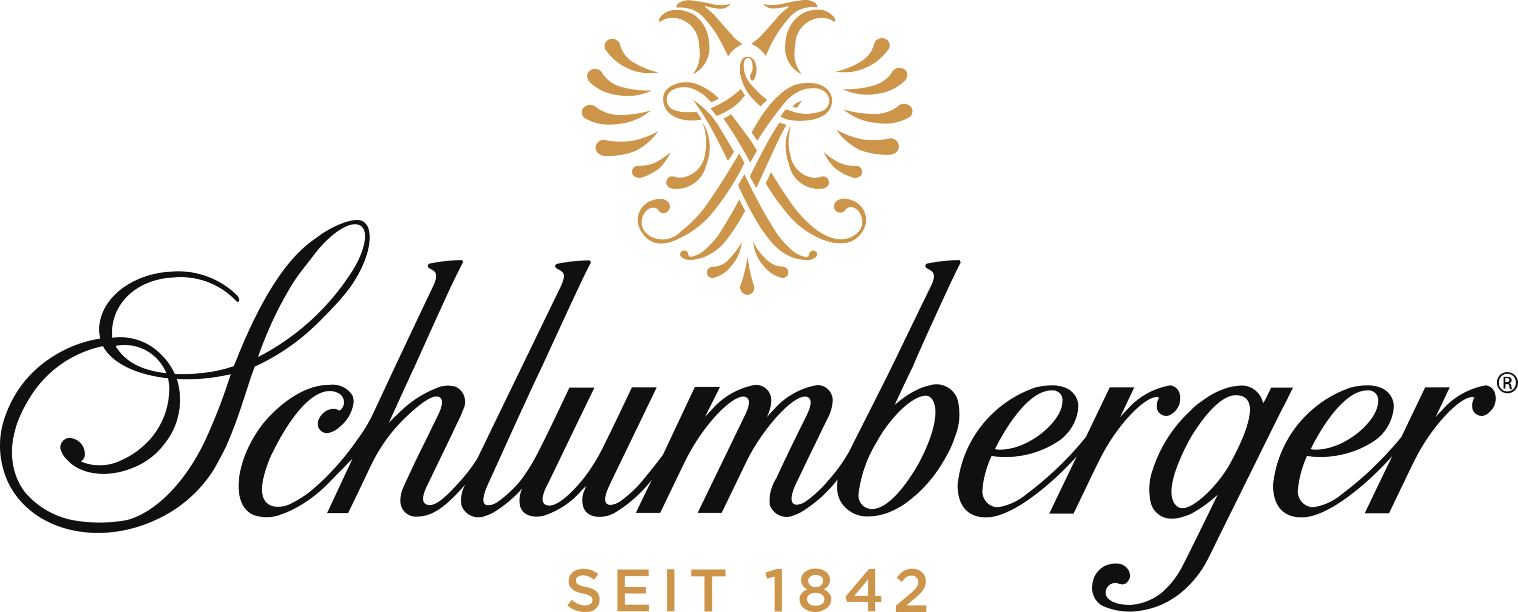 Schlumberger Seit Logo