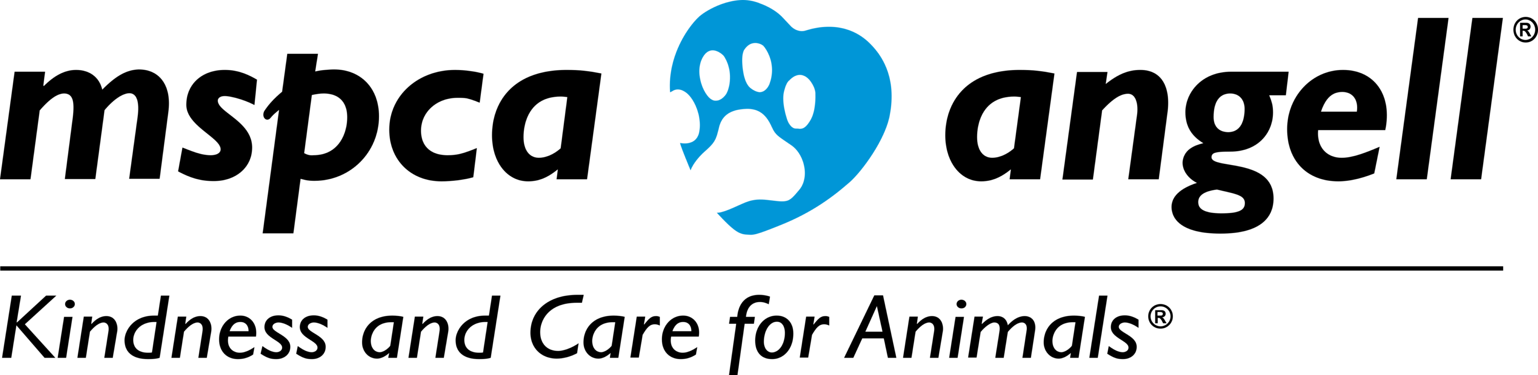 The MSPCA Angell Logo