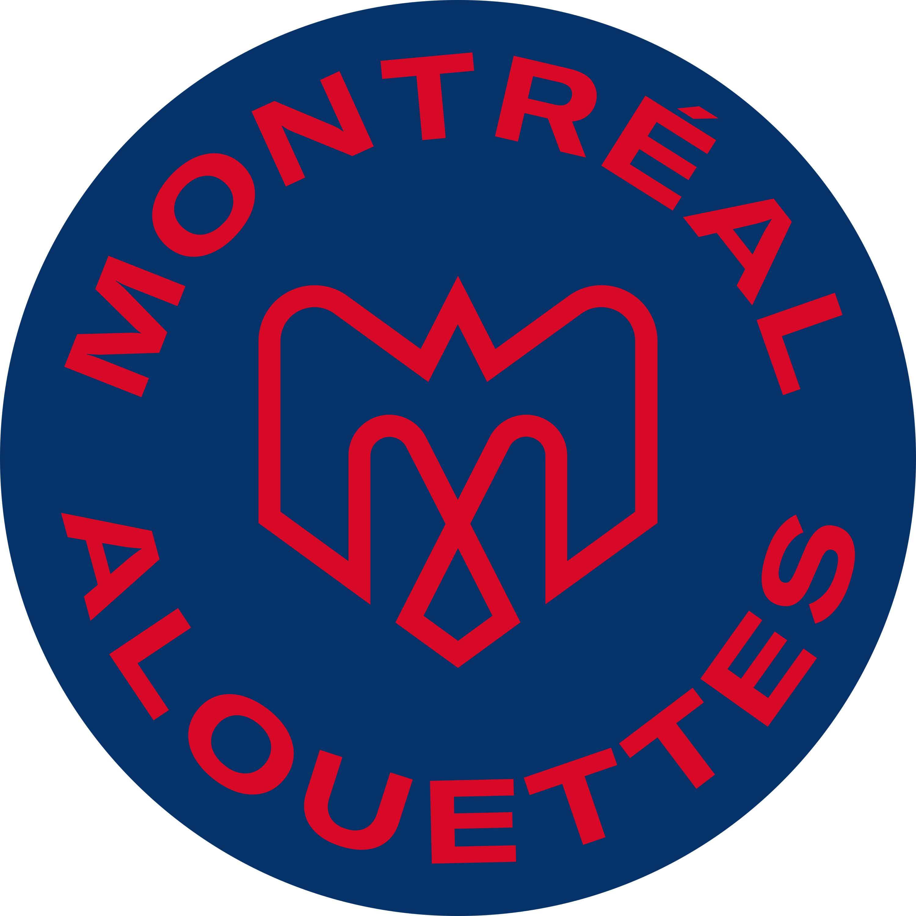 The Montreal Alouettes Logo