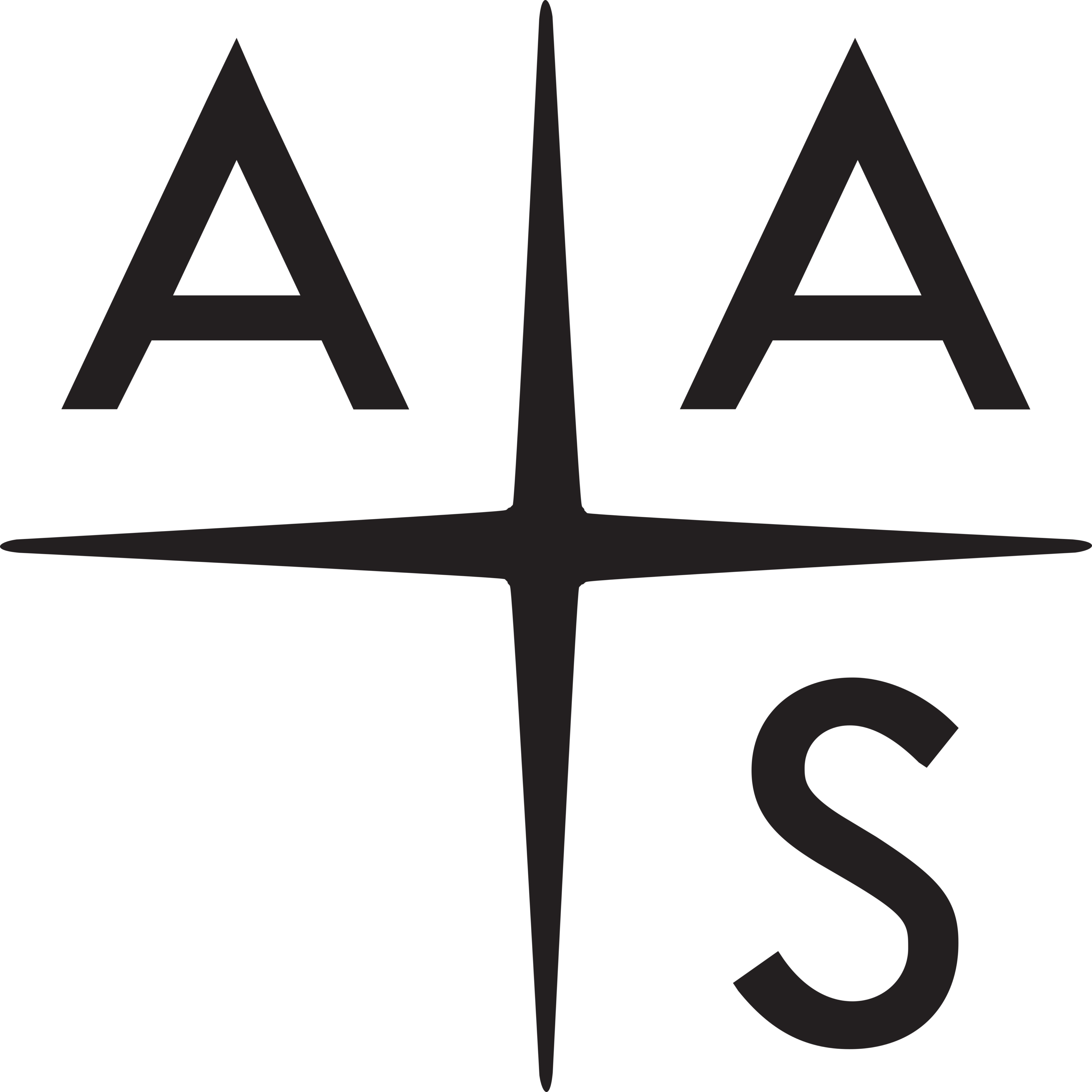 American Astronomical Society Logo