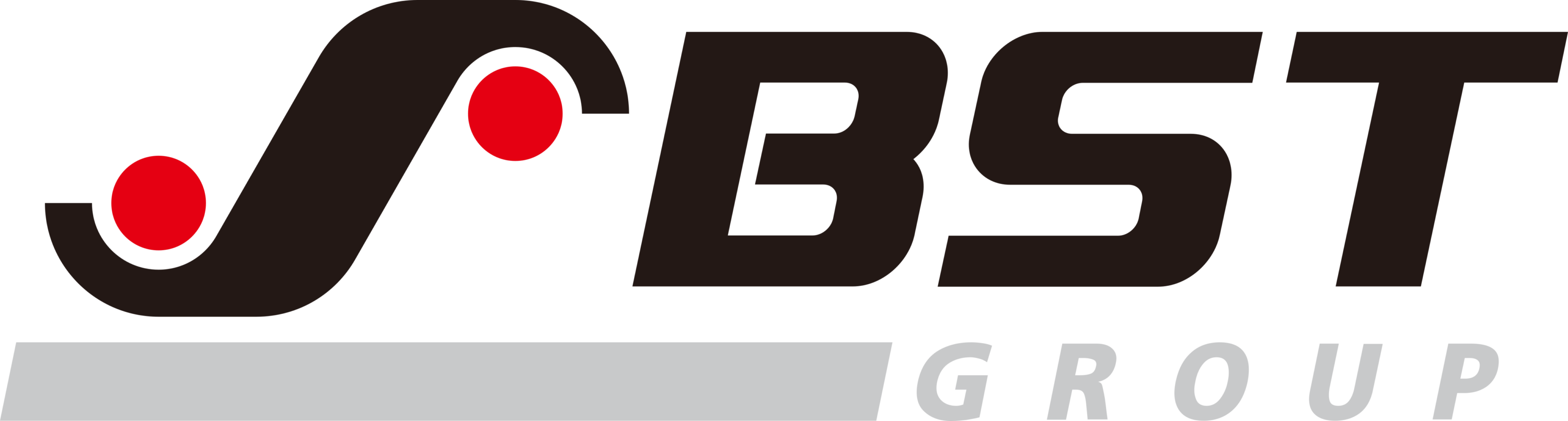 BST Group Logo