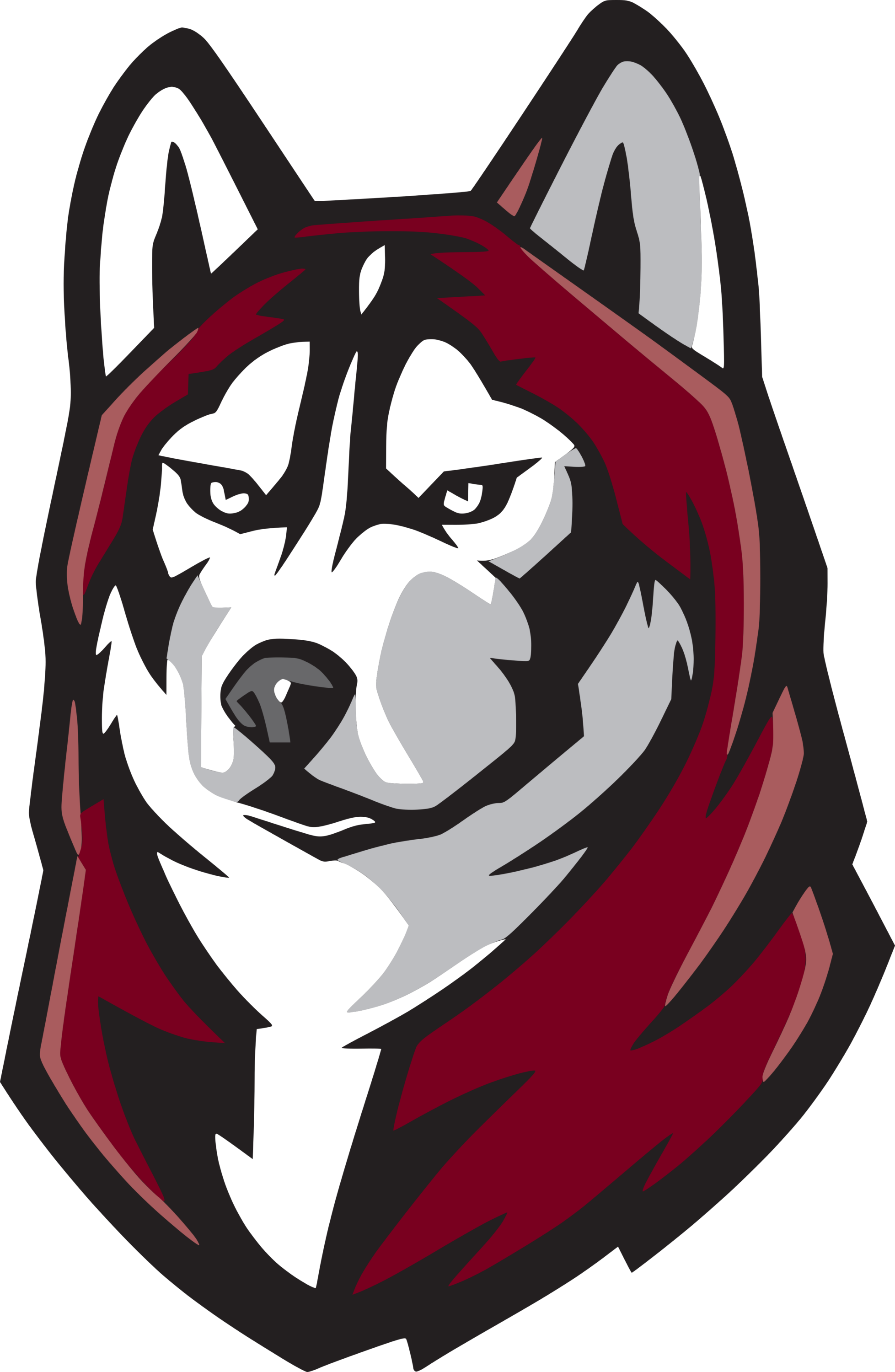 Bloomsburg Huskies Logo